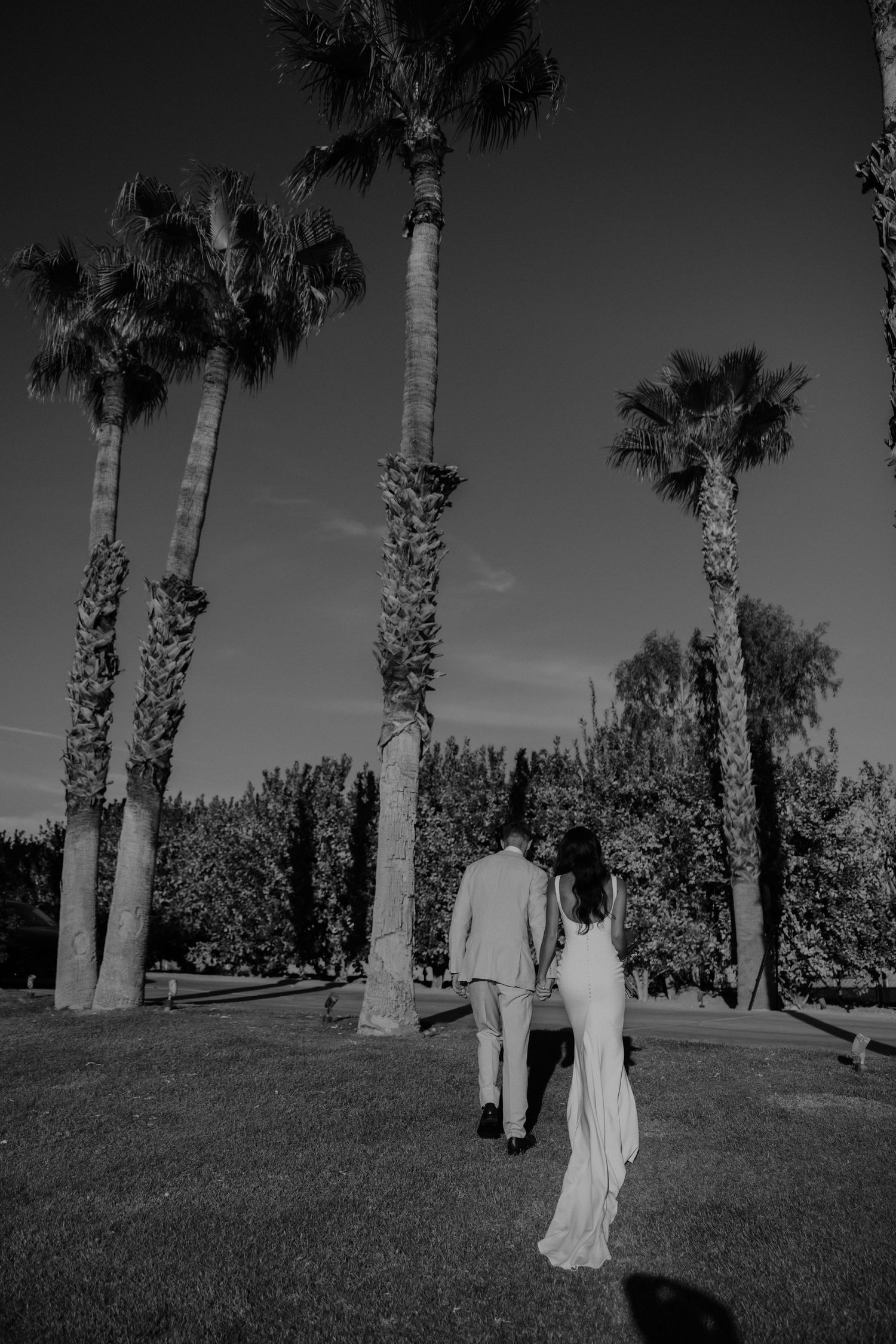 Black and white photo sequence showing couple walking together in a palm tree-lined garden on a sunny day.