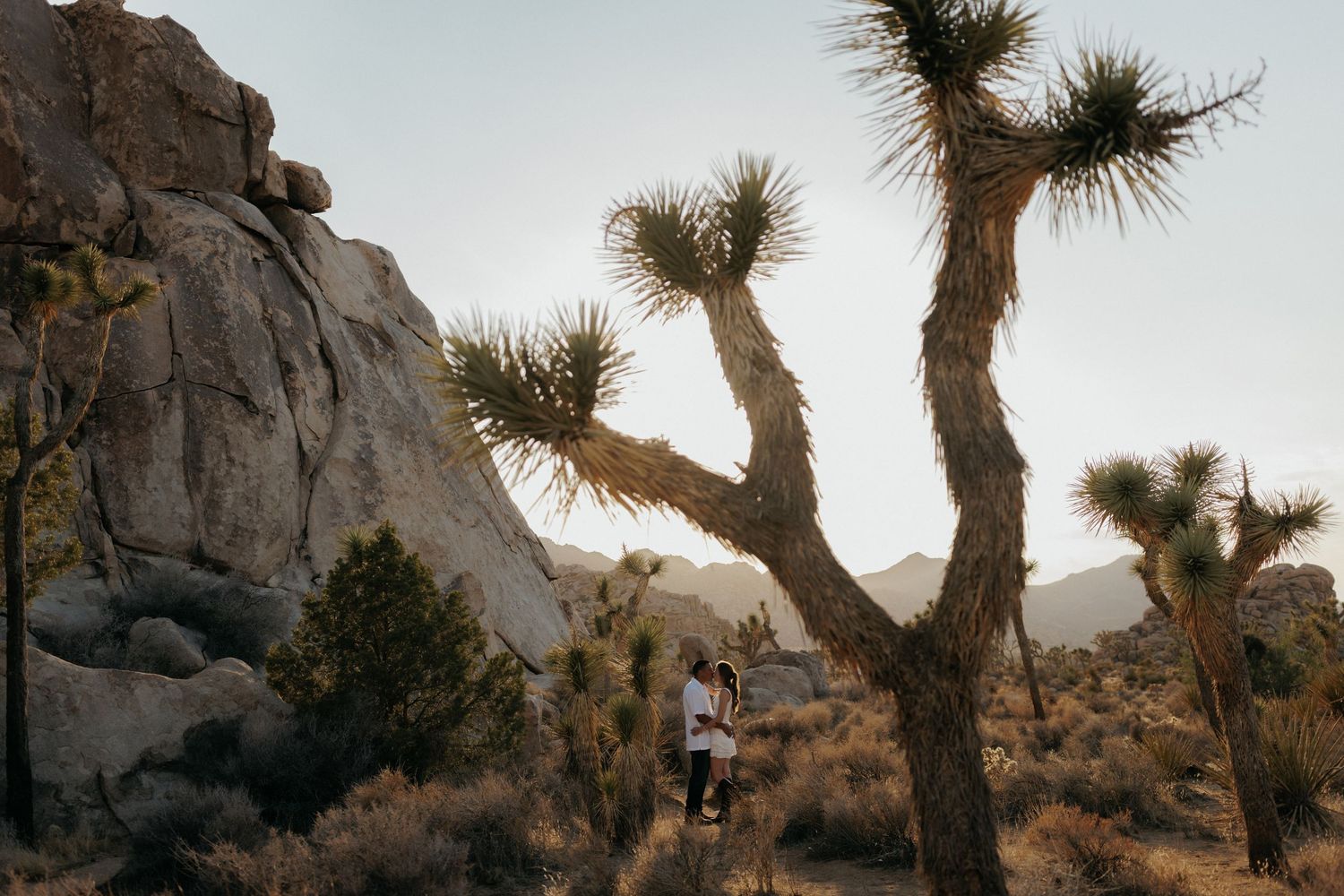 Rocky desert landscape with Joshua trees scattered among large granite boulders in Joshua Tree National Park during sunset.