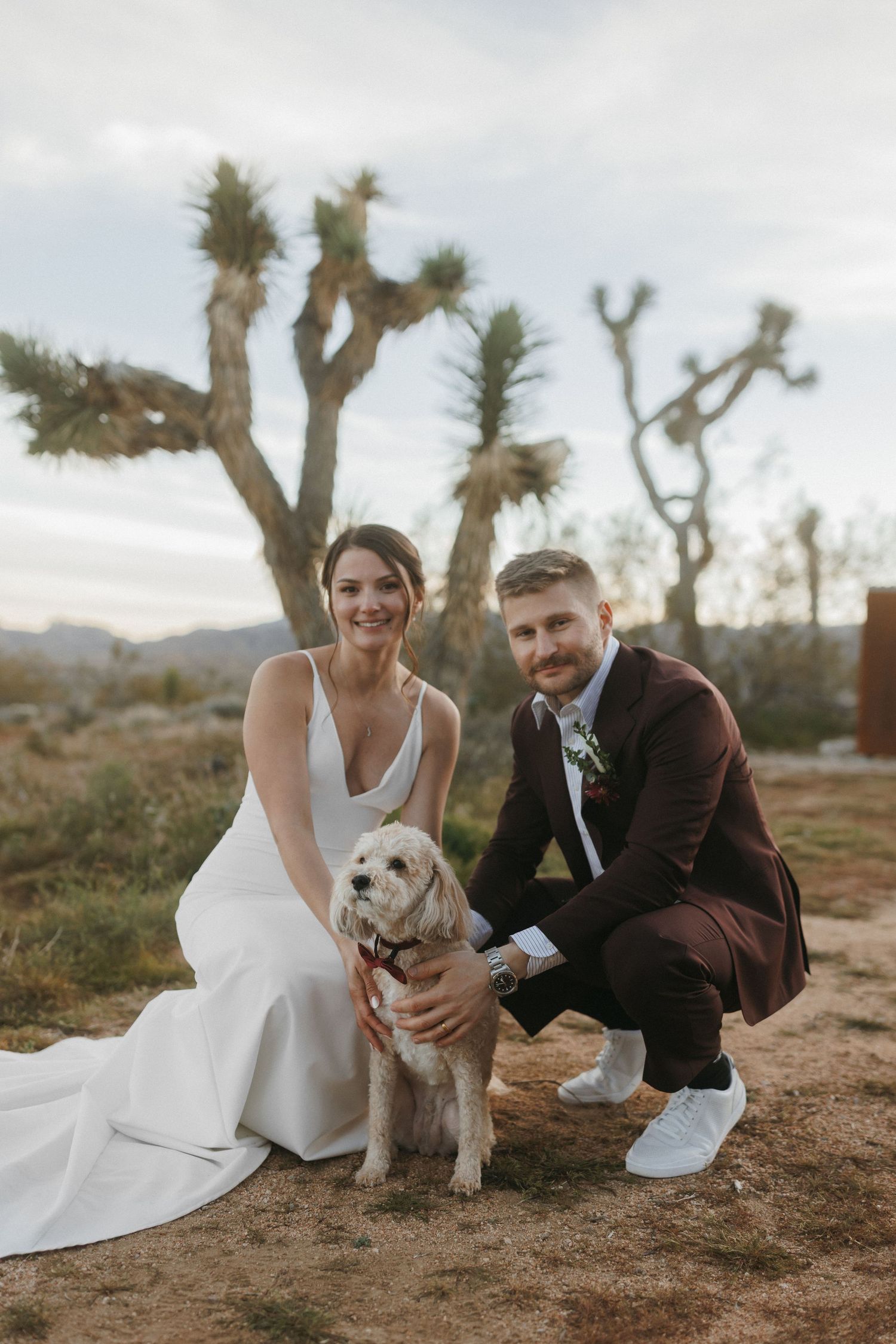 Smiling bride and groom in burgundy suit pose with fluffy dog among Joshua trees in desert setting.