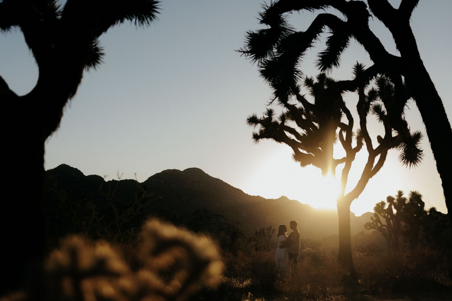 Silhouette of couple standing among Joshua trees at golden sunset with mountains in background.