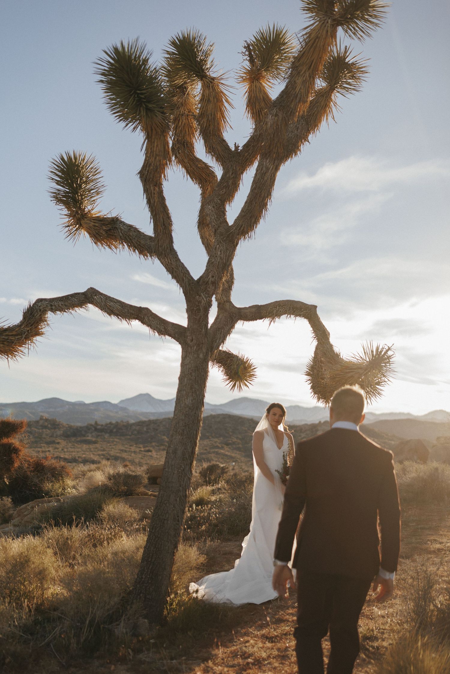 Bride and groom walking toward Joshua tree at golden hour in desert landscape.