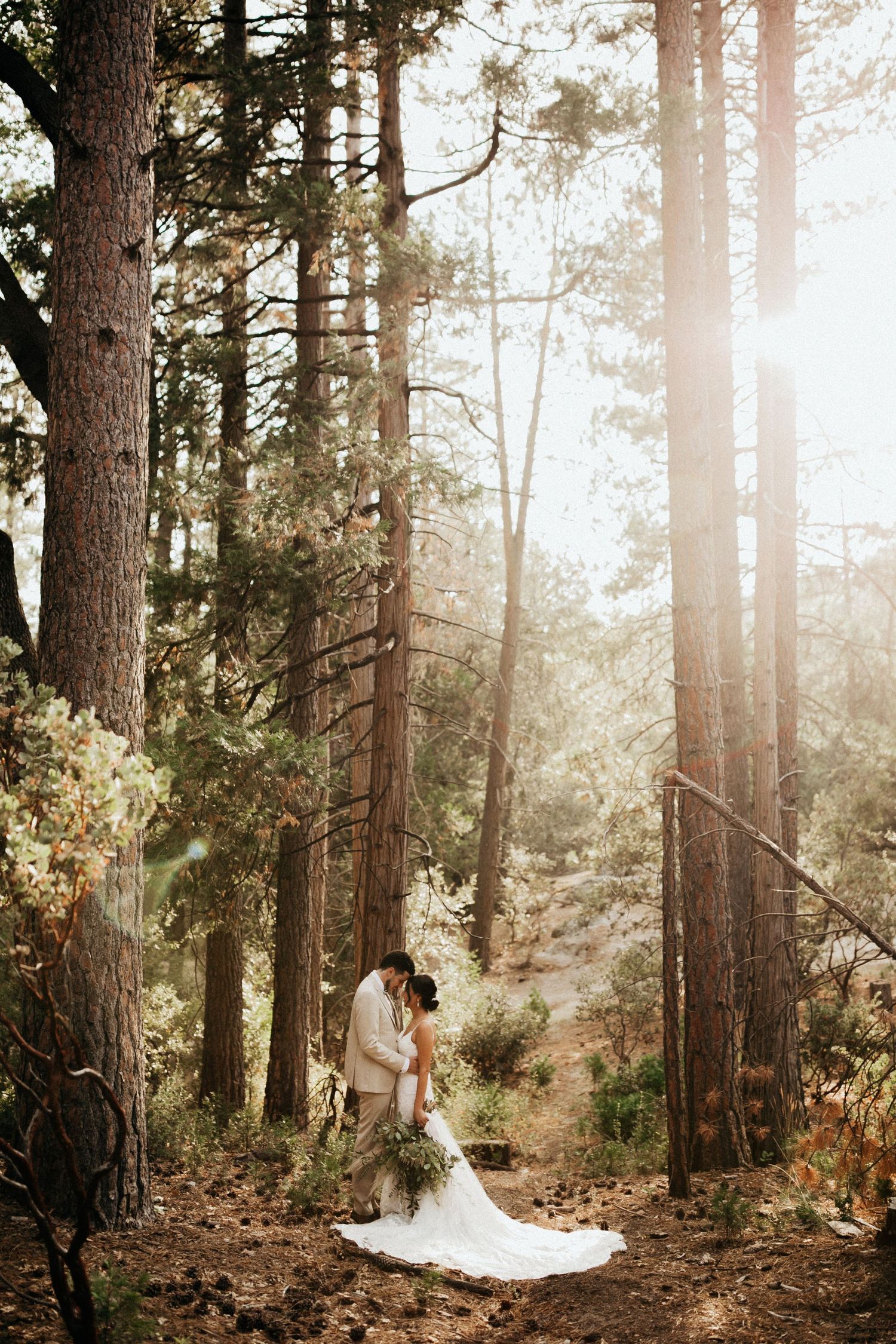 Golden sunlight filters through tall pine trees as a bride in a white gown creates magical forest portraits.