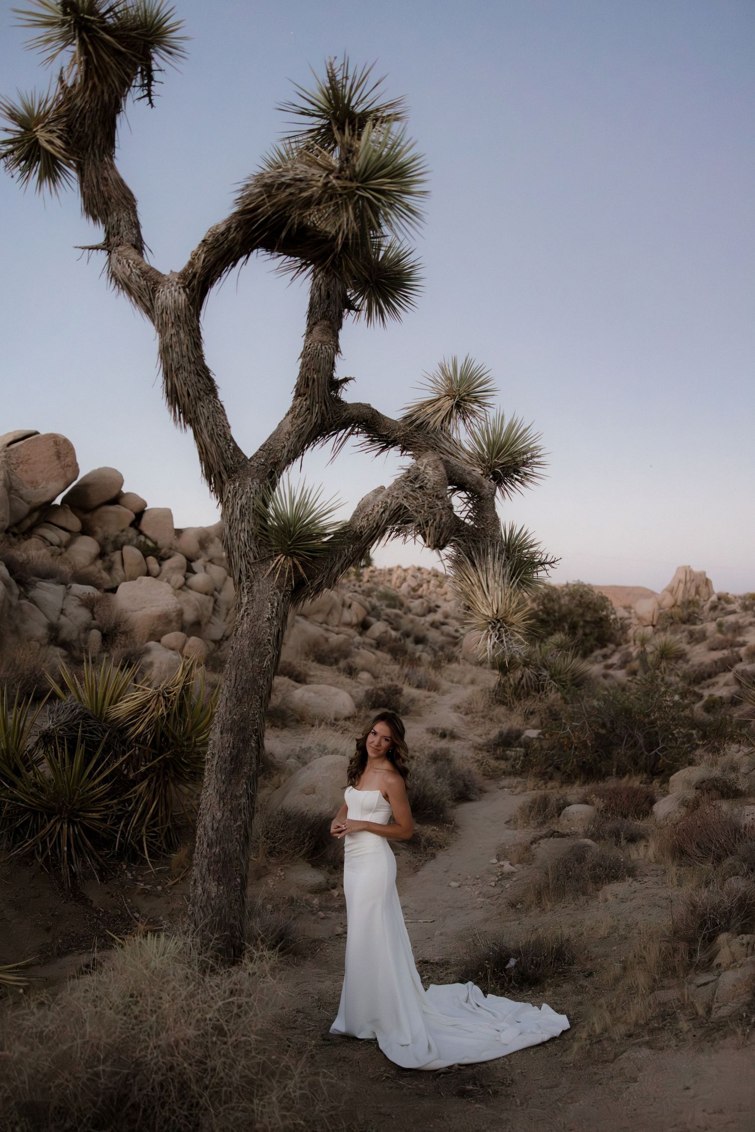 A flowing white wedding gown contrasts beautifully against the rugged desert landscape with Joshua trees and boulders.