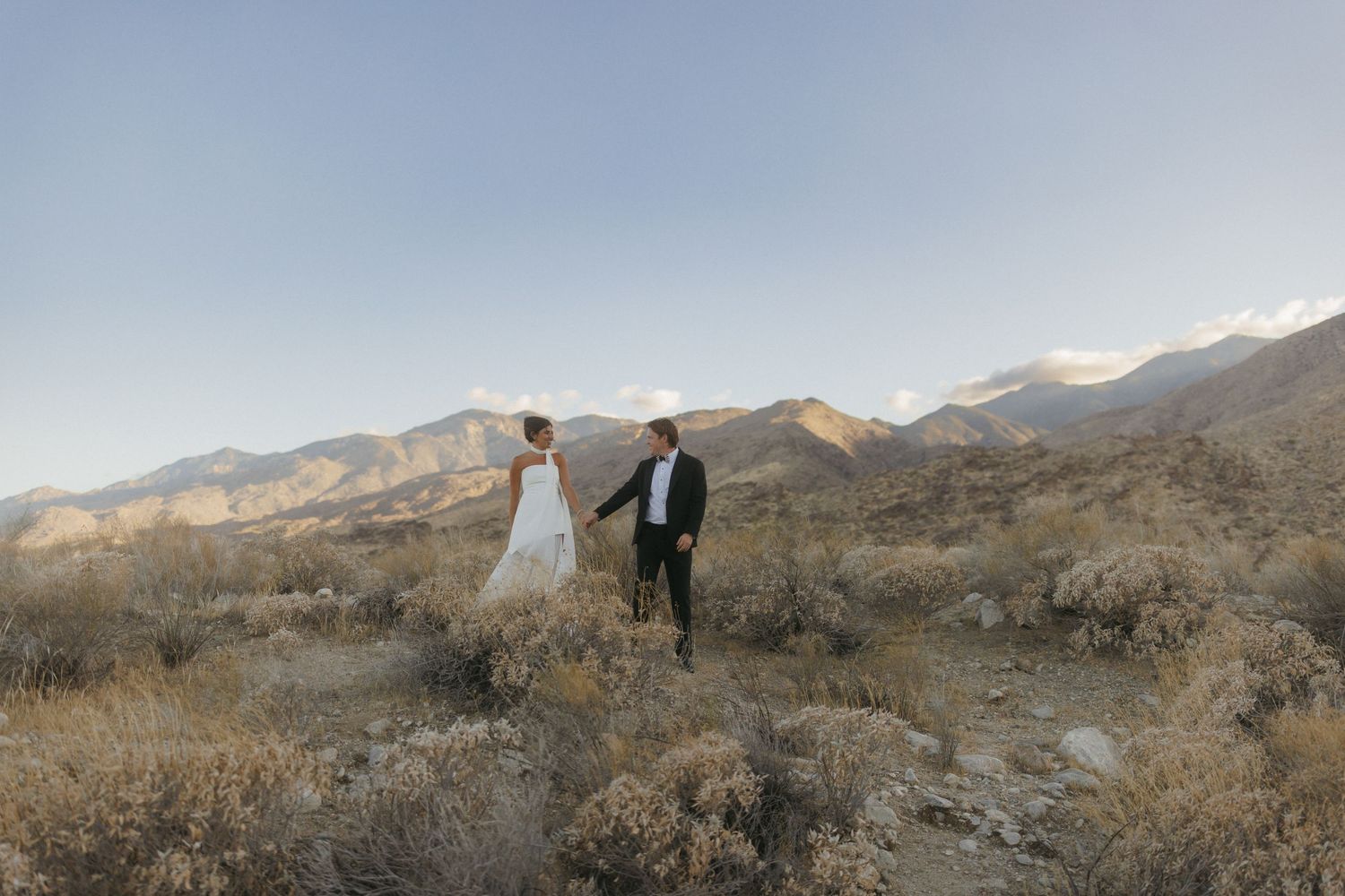 Bride and groom holding hands walking through a scenic desert landscape with mountains backdrop.