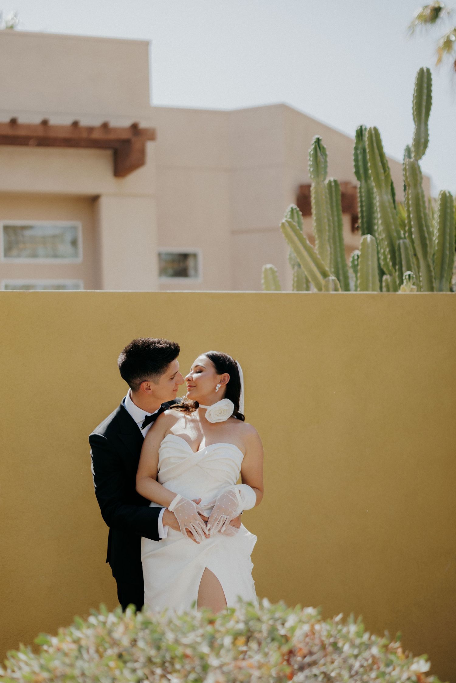 A romantic wedding moment captured against a yellow wall with tall desert cactus and southwestern architecture in the background.