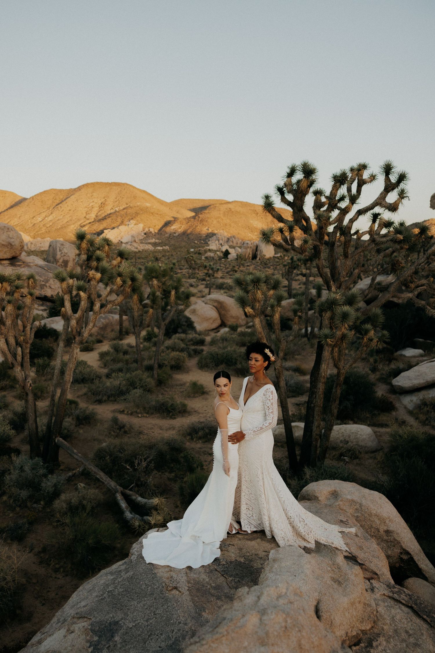 A romantic desert scene in Joshua Tree National Park at sunset with Joshua trees and golden rock formations.