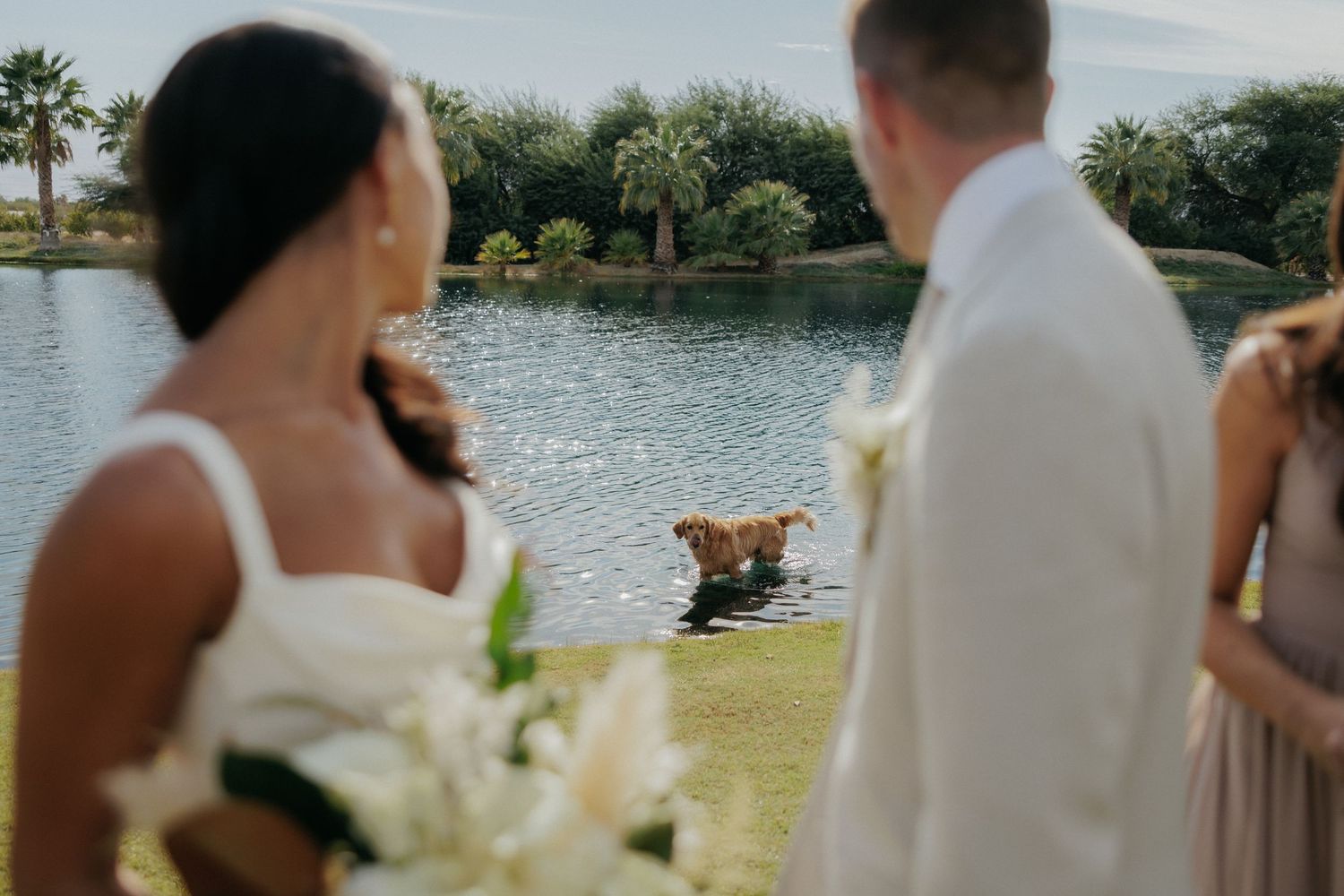 Wedding ceremony attendees stand at the edge of a scenic lake surrounded by greenery and palm trees on a sunny day.