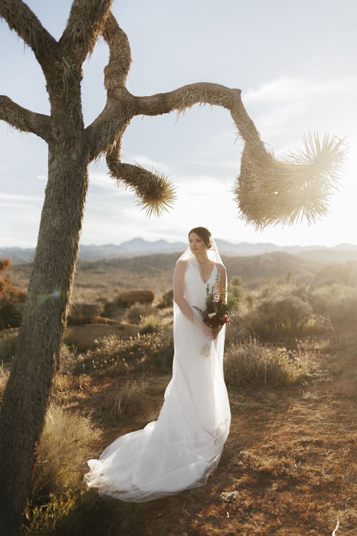 Bride in elegant white gown with train poses under Joshua tree in stunning desert landscape at golden hour.