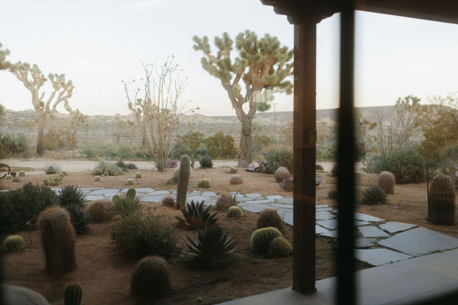 Serene desert garden view with Joshua Trees and cacti seen from a shaded porch.