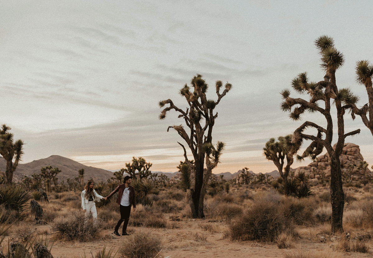 A surreal desert landscape with Joshua trees and boulders against a cloudy sky in Joshua Tree National Park.