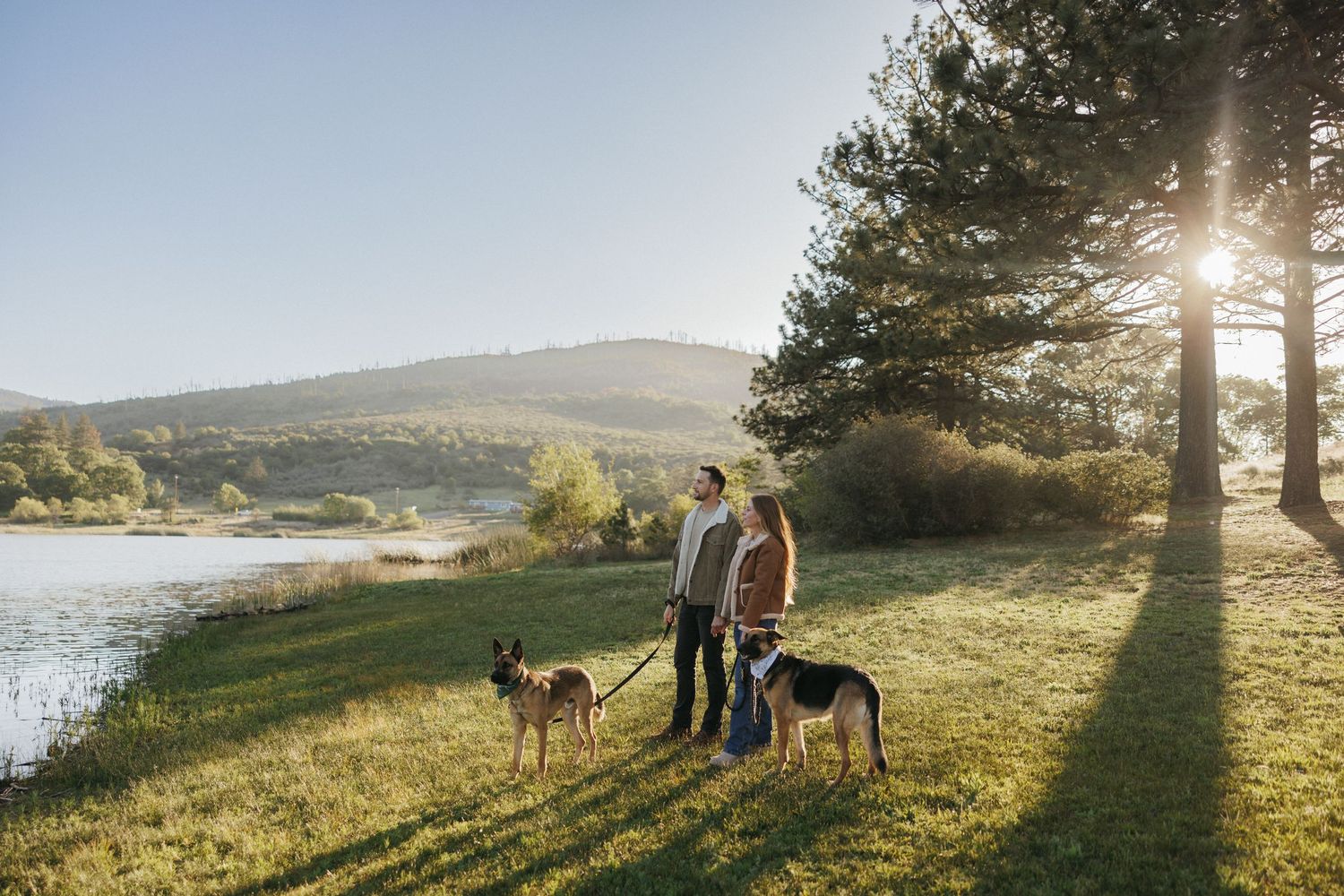 Couple walking two German Shepherds by a sunlit lake with green hills and trees in the background.