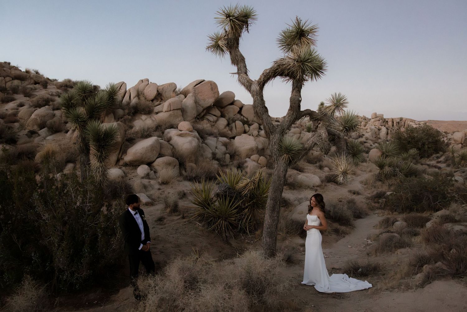 Wedding couple poses in a desert landscape with Joshua trees and rock formations at sunset.