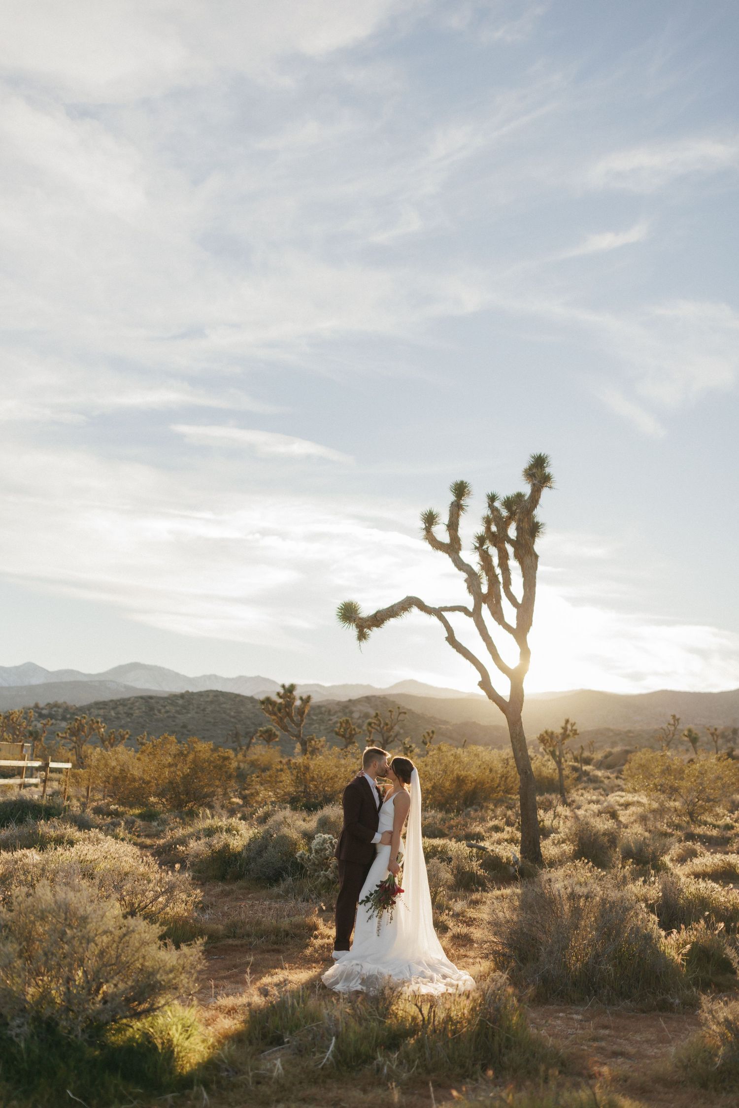 Bride and groom share a kiss near a Joshua tree at sunset with sweeping desert landscape behind them.