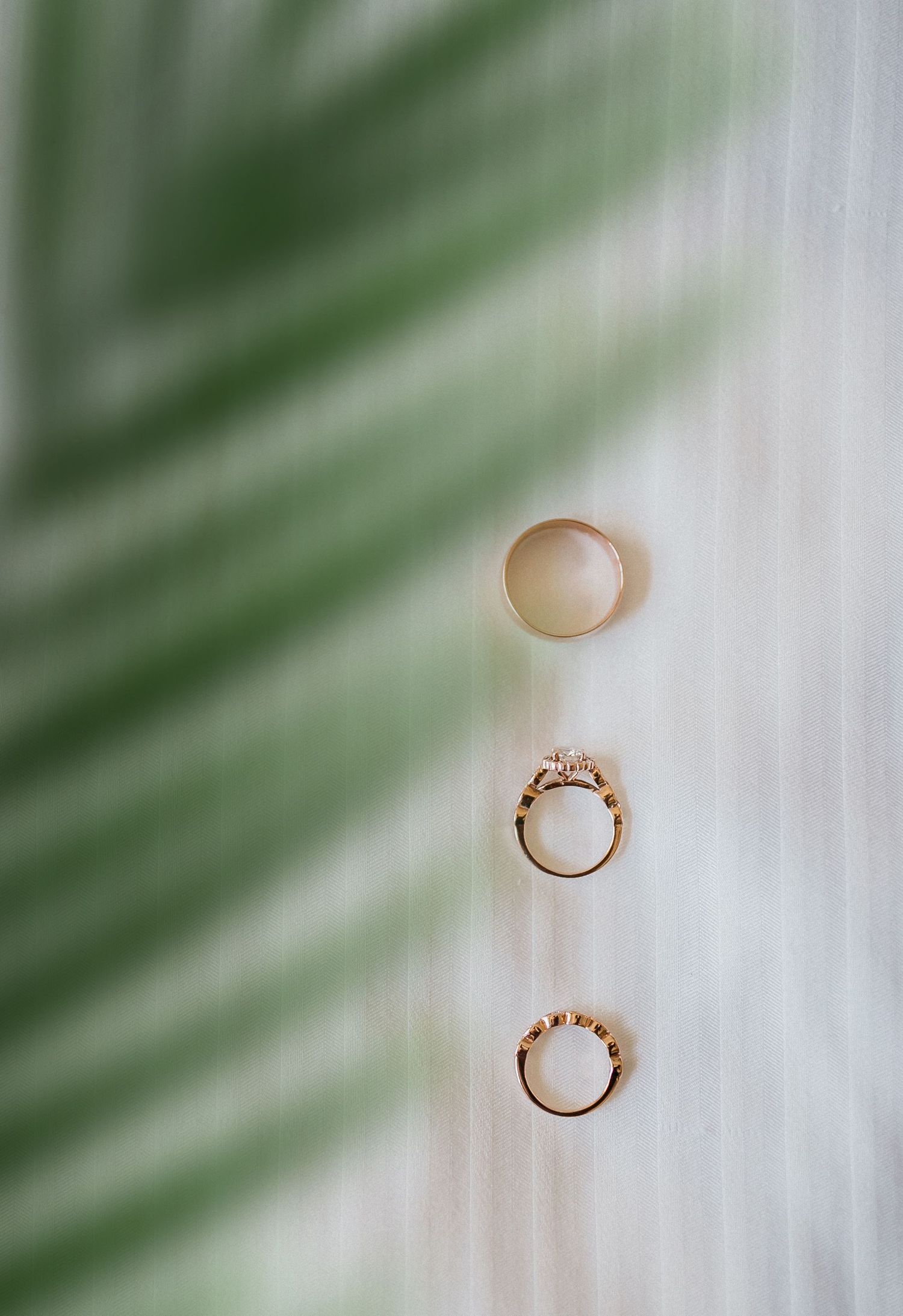 Wedding rings cast delicate shadows against a blurred green palm leaf background creating a romantic composition.