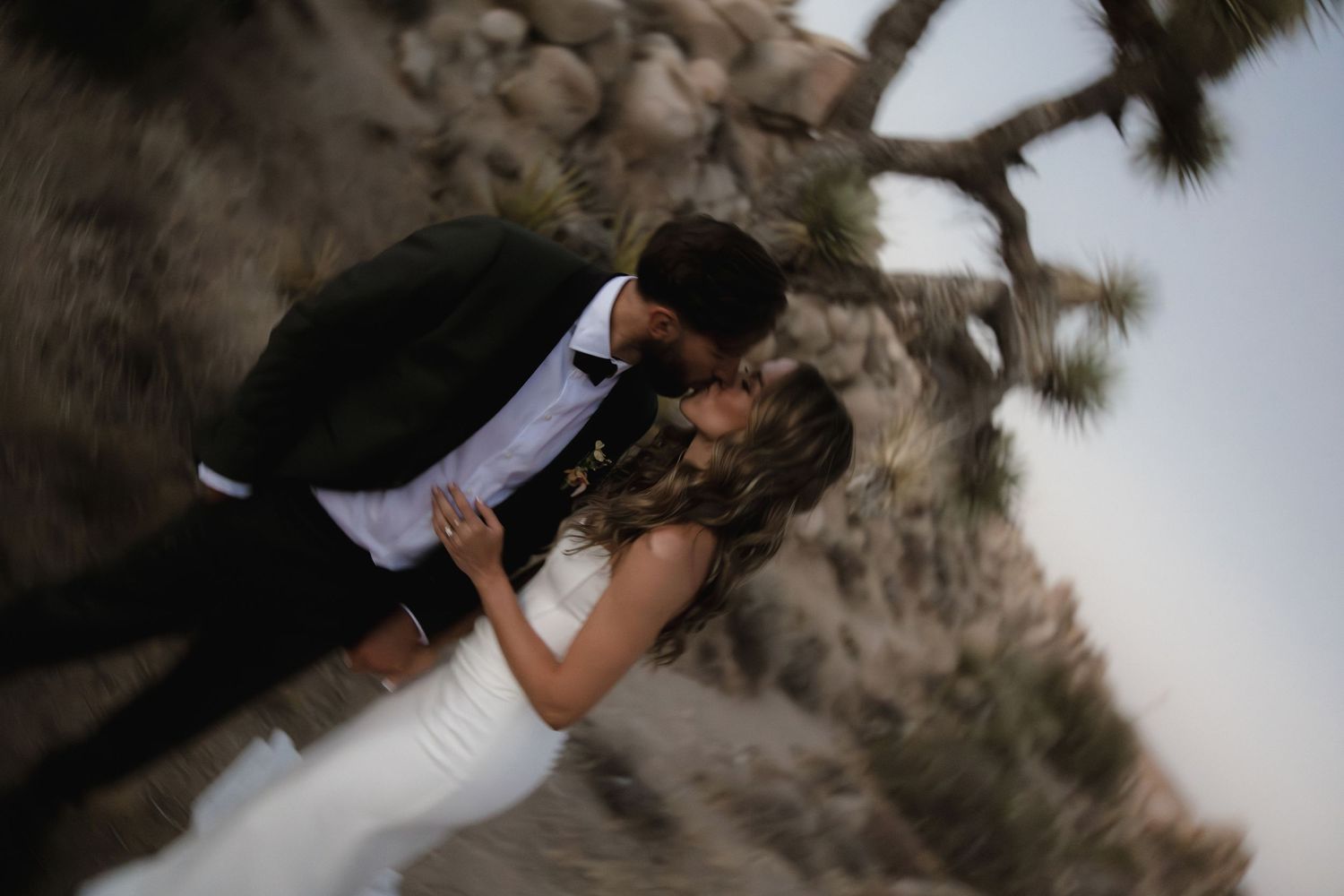 A couple embraces and kisses in a desert landscape with Joshua trees silhouetted against a dusky sky.