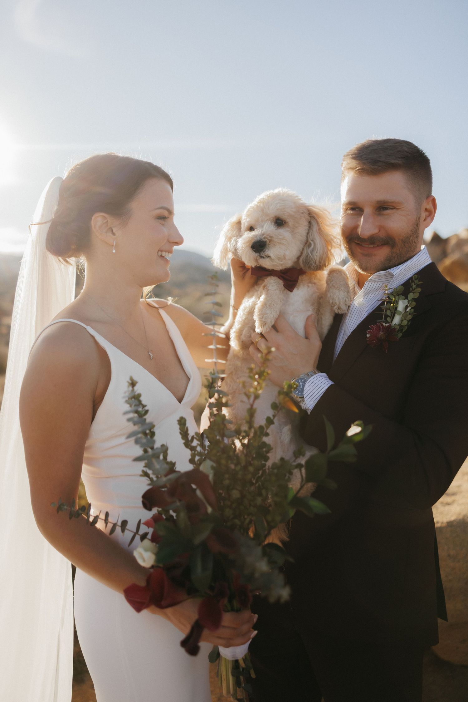 Smiling bride and groom hold fluffy white dog during sunny outdoor desert wedding portrait.