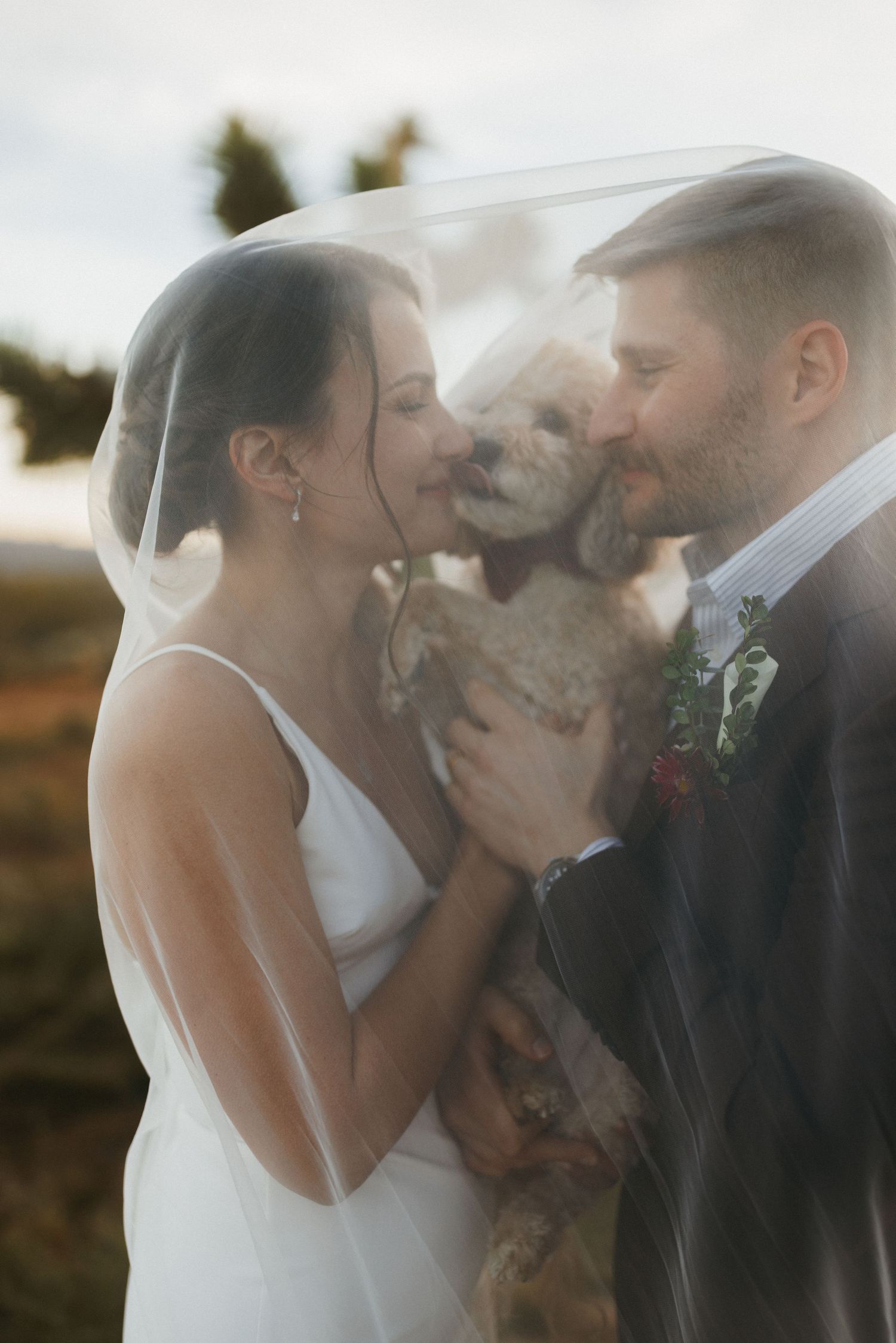 Bride and groom share a kiss with their dog under a veil at an outdoor wedding.