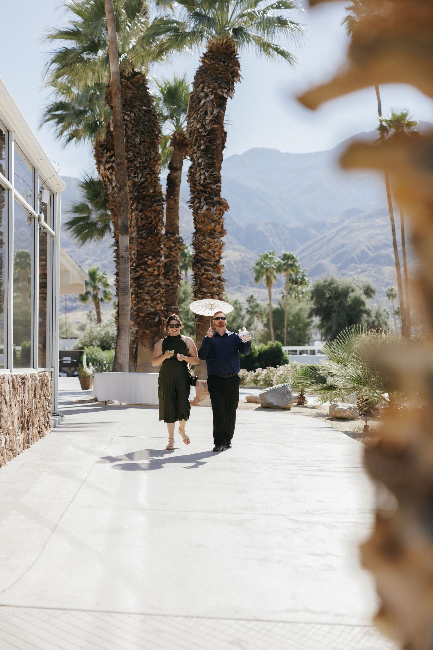 Wedding guests walking along sunny Palm Springs venue pathway with palm trees and mountains.