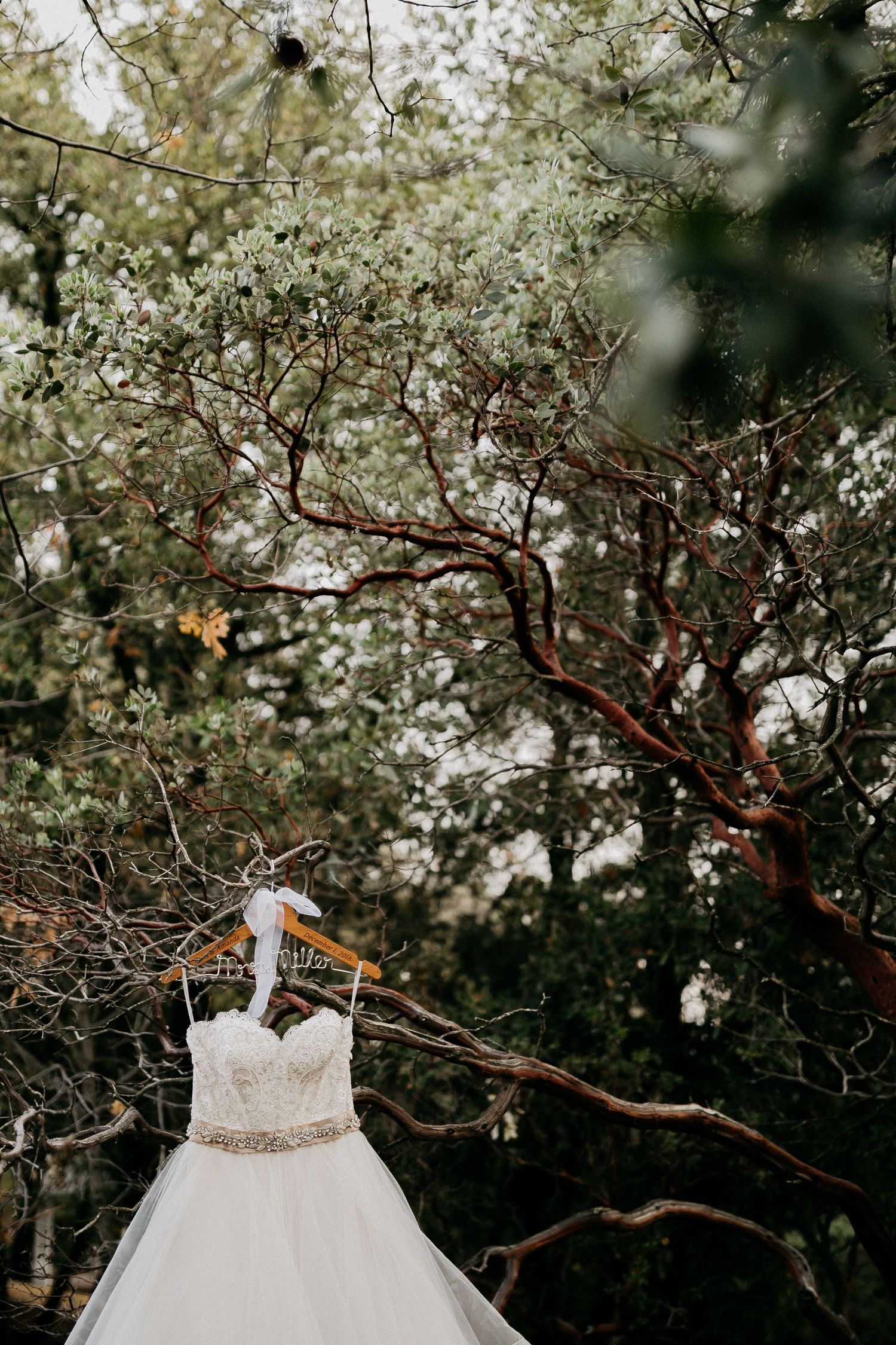 White princess ballgown wedding dress hangs elegantly among blooming spring trees.