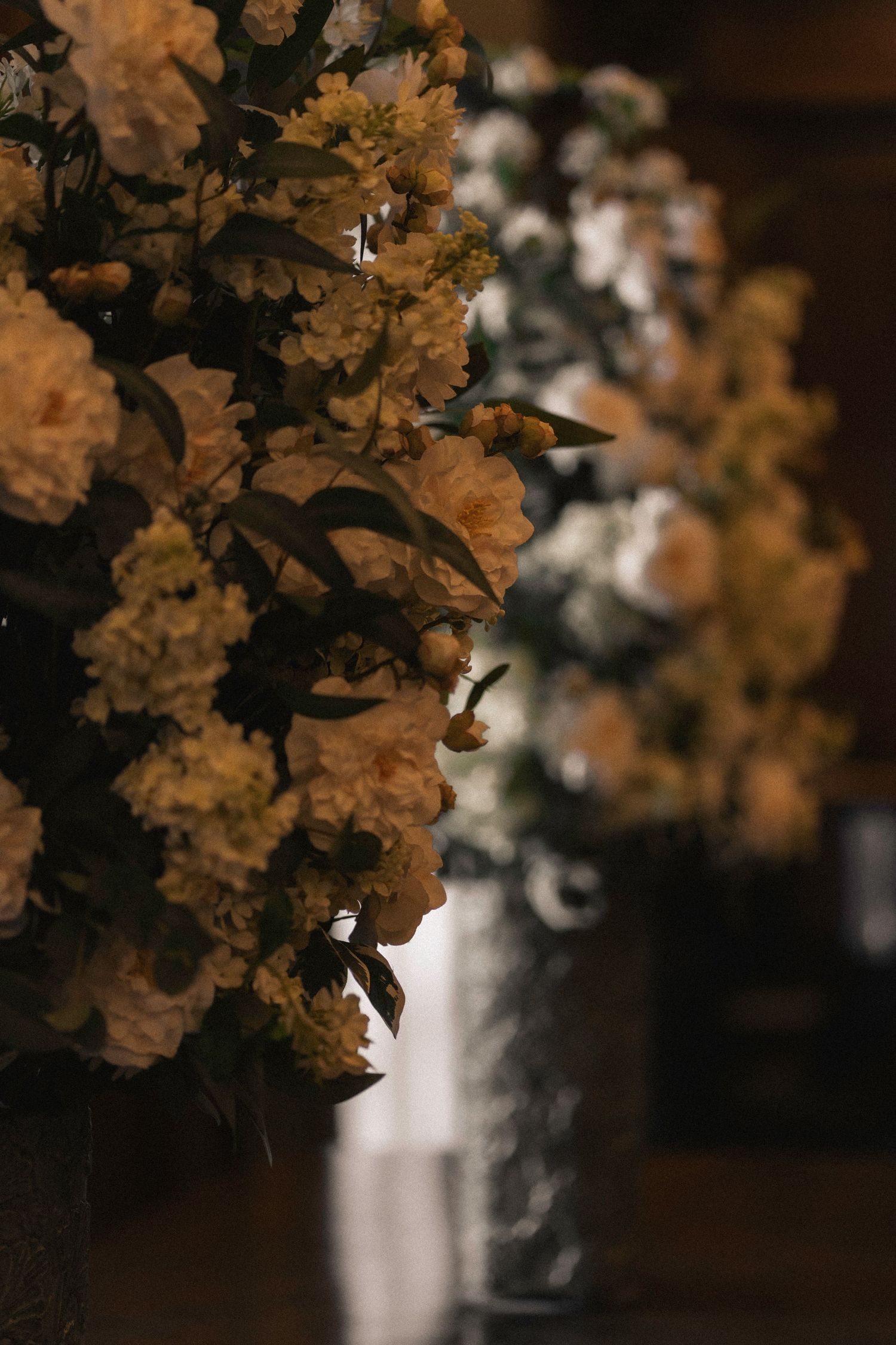 Delicate yellow flowers bloom against a dark background with soft bokeh lighting effects in a moody nature photograph.