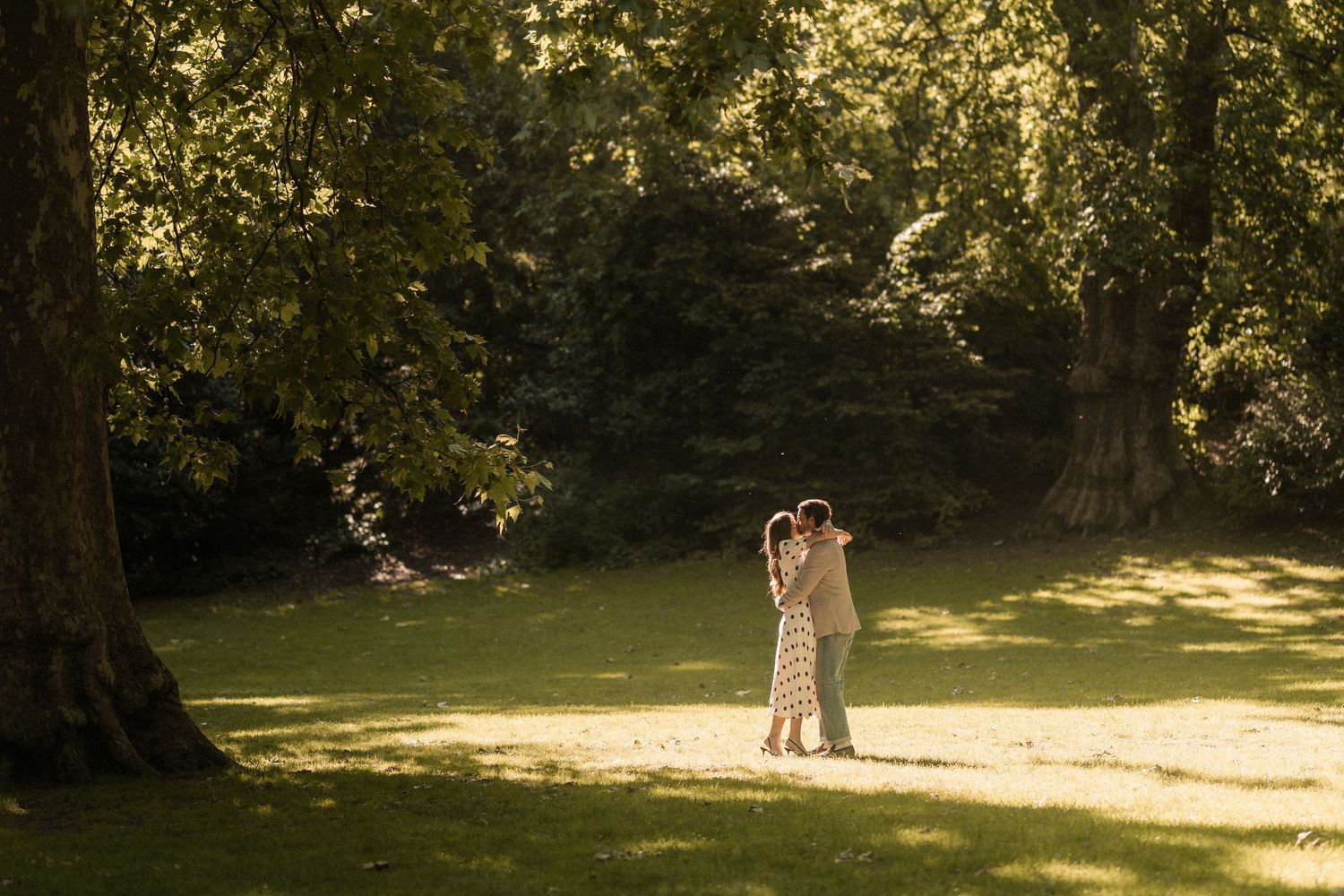 Couple embracing in a sunlit park surrounded by lush green trees on a warm day.