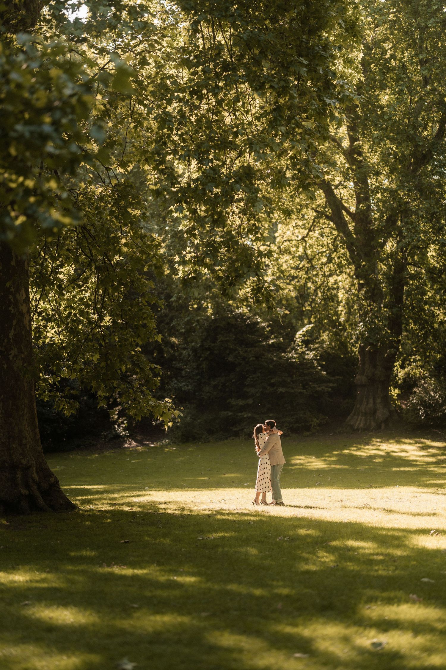 Couple embracing in a sunlit park surrounded by lush green trees on a warm sunny day.