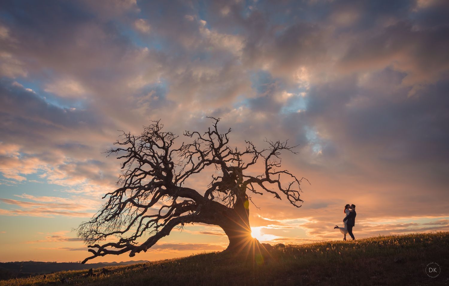 Spreafico Farms Wedding Photographer in San Luis Obispo