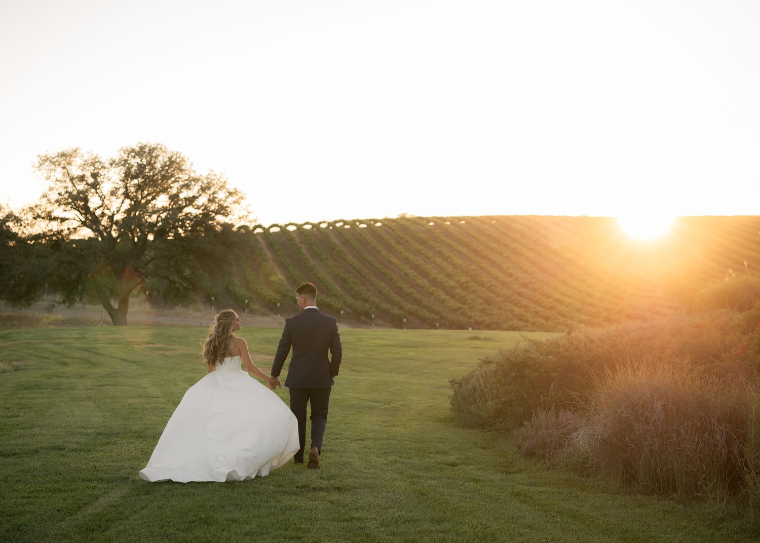 Bride and groom walk hand-in-hand at sunset over a vineyard lawn on their wedding day.