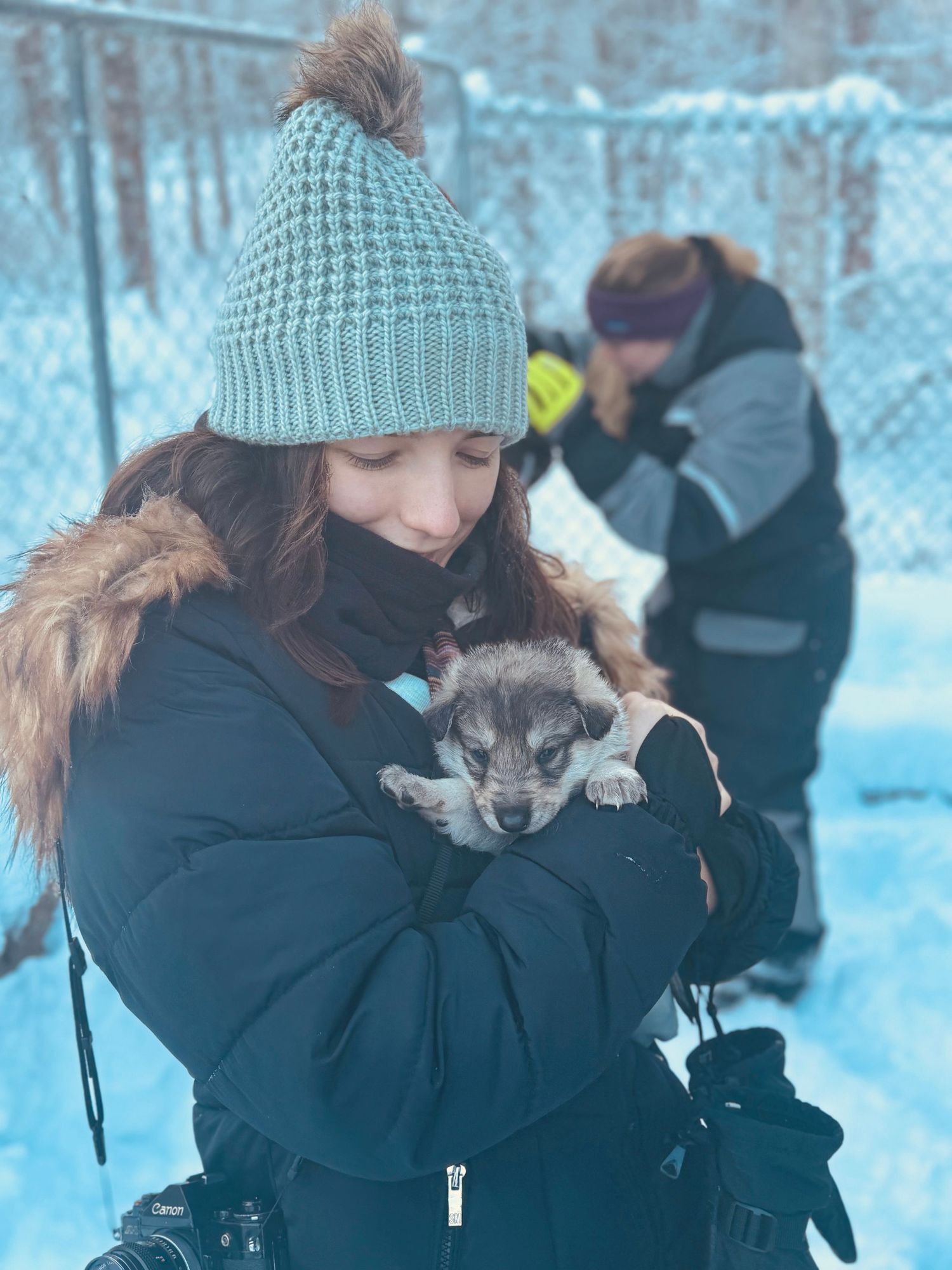 Travel photographer Athena Arnold holding newborn Alaskan sled dogs.