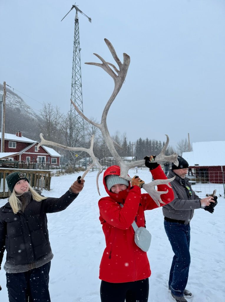 Athena Arnold travel photographer in Alaska at a reindeer farm.
