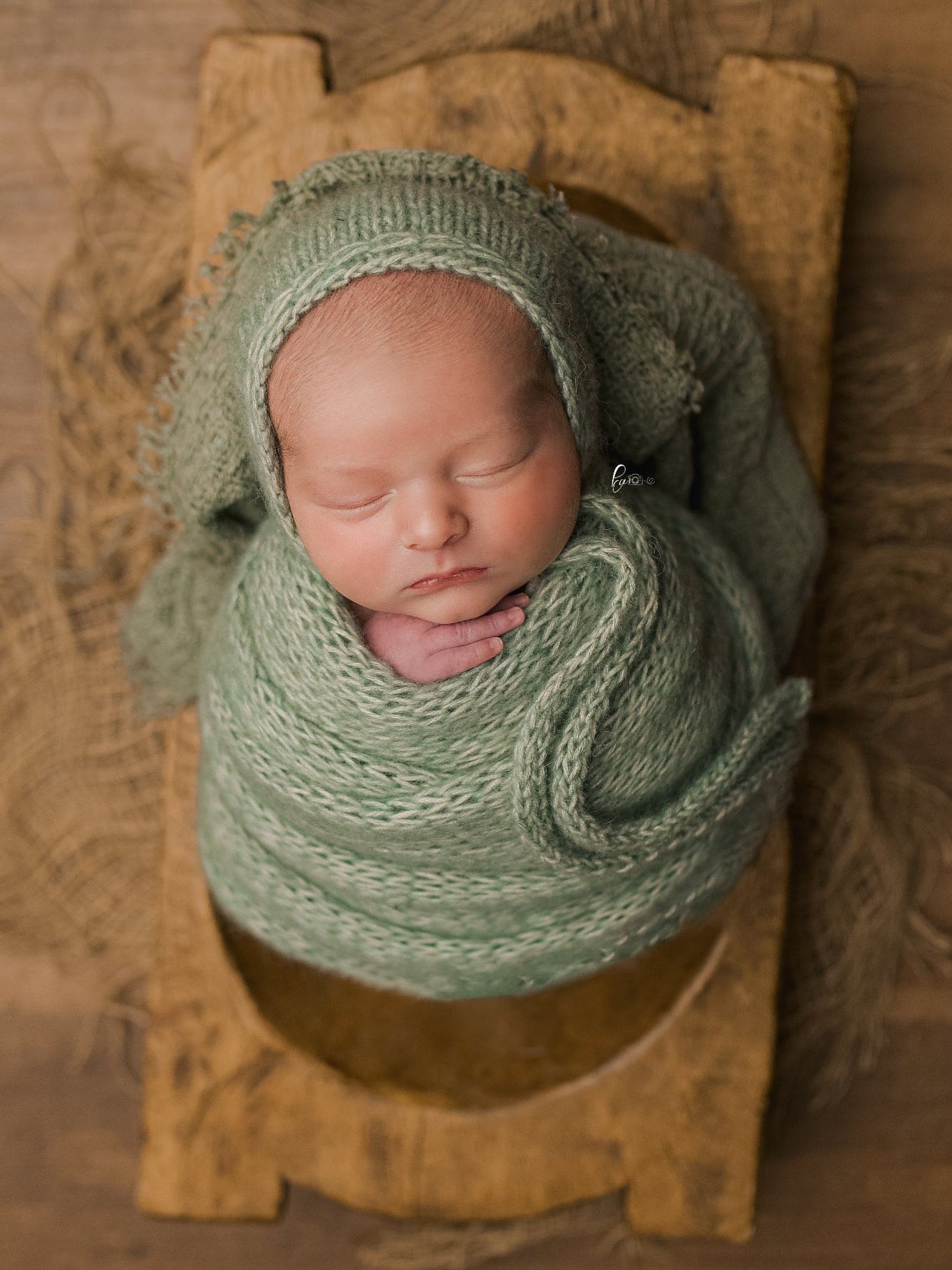Albany Newborn Photographer 01