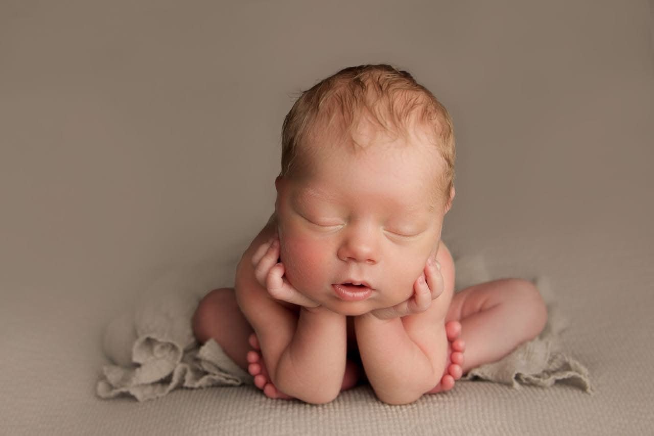 Albany Newborn Photographer