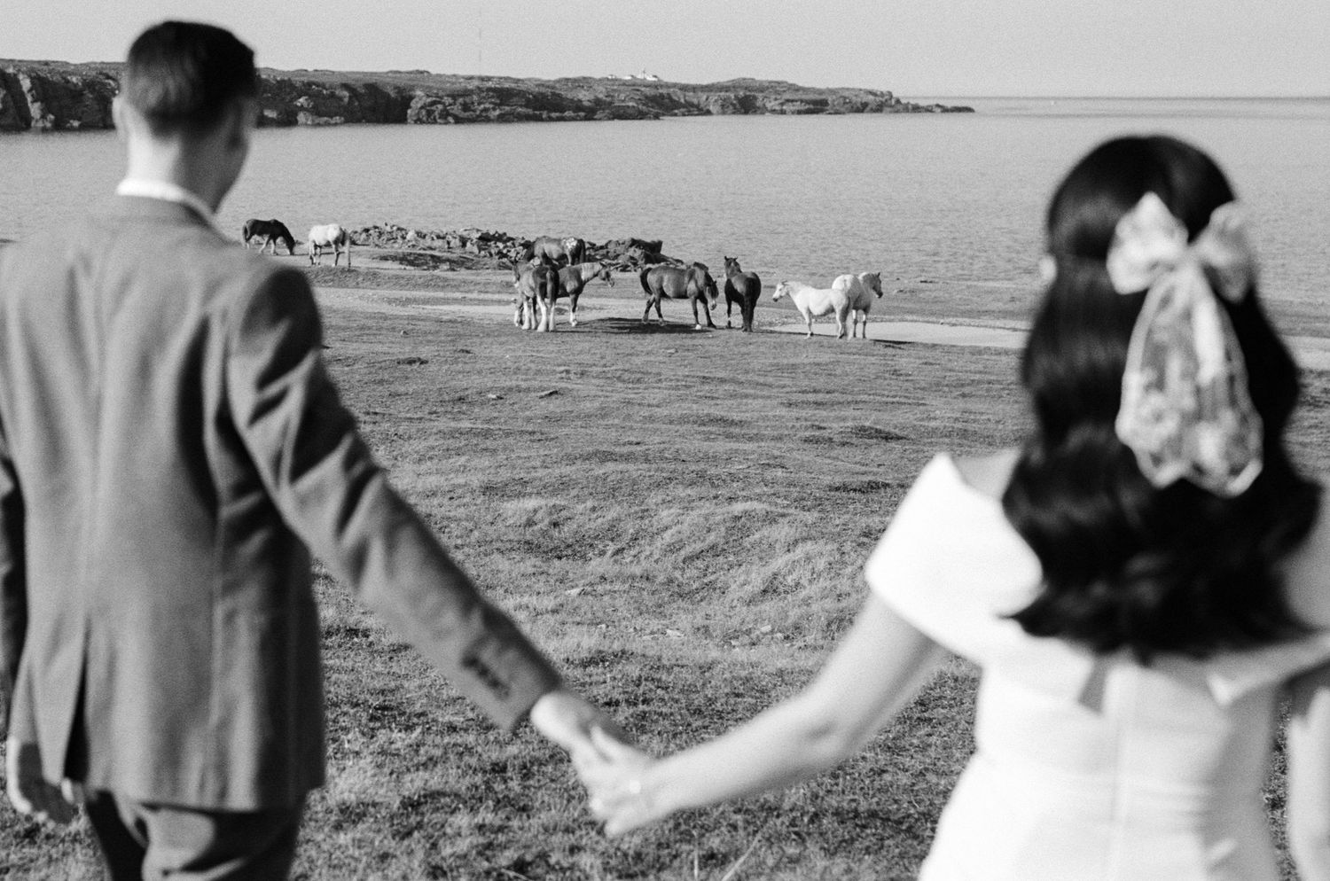 35 mm film photo of bride and groom walking past a herd of wild horses on their elopement day