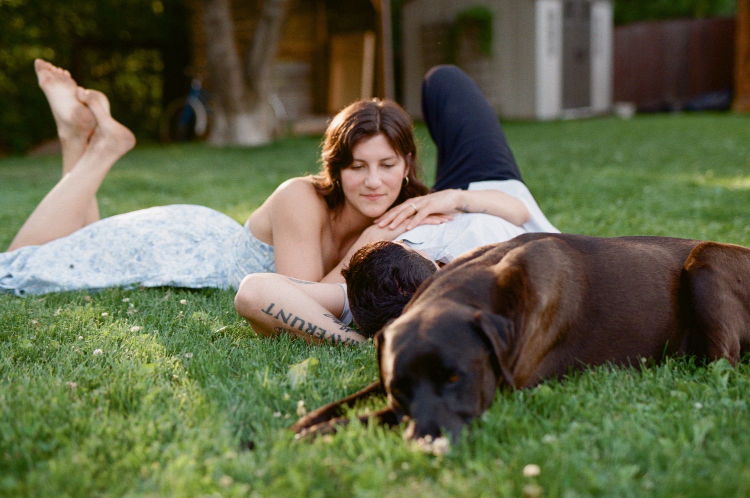 35 mm film photo of a couple laying in the grass with their dog in the summer evening light in Fernie, BC