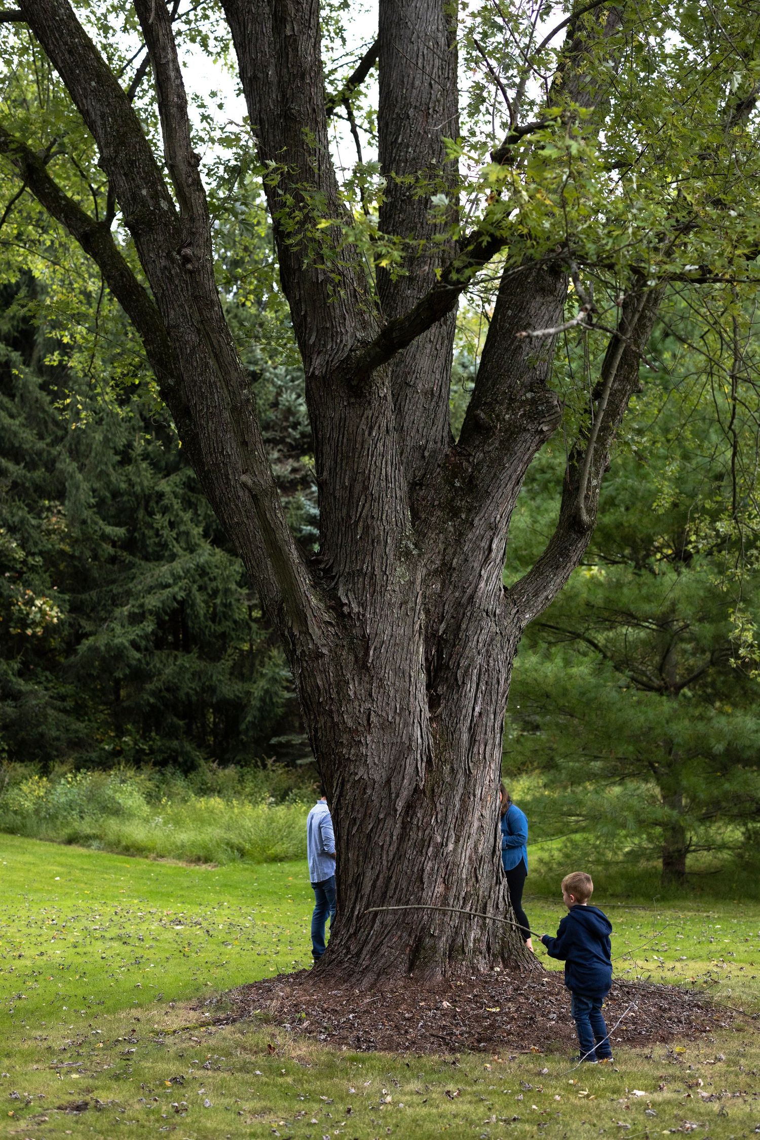 two parents and a child are standing near a tree playing a game. Southington Connecticut.