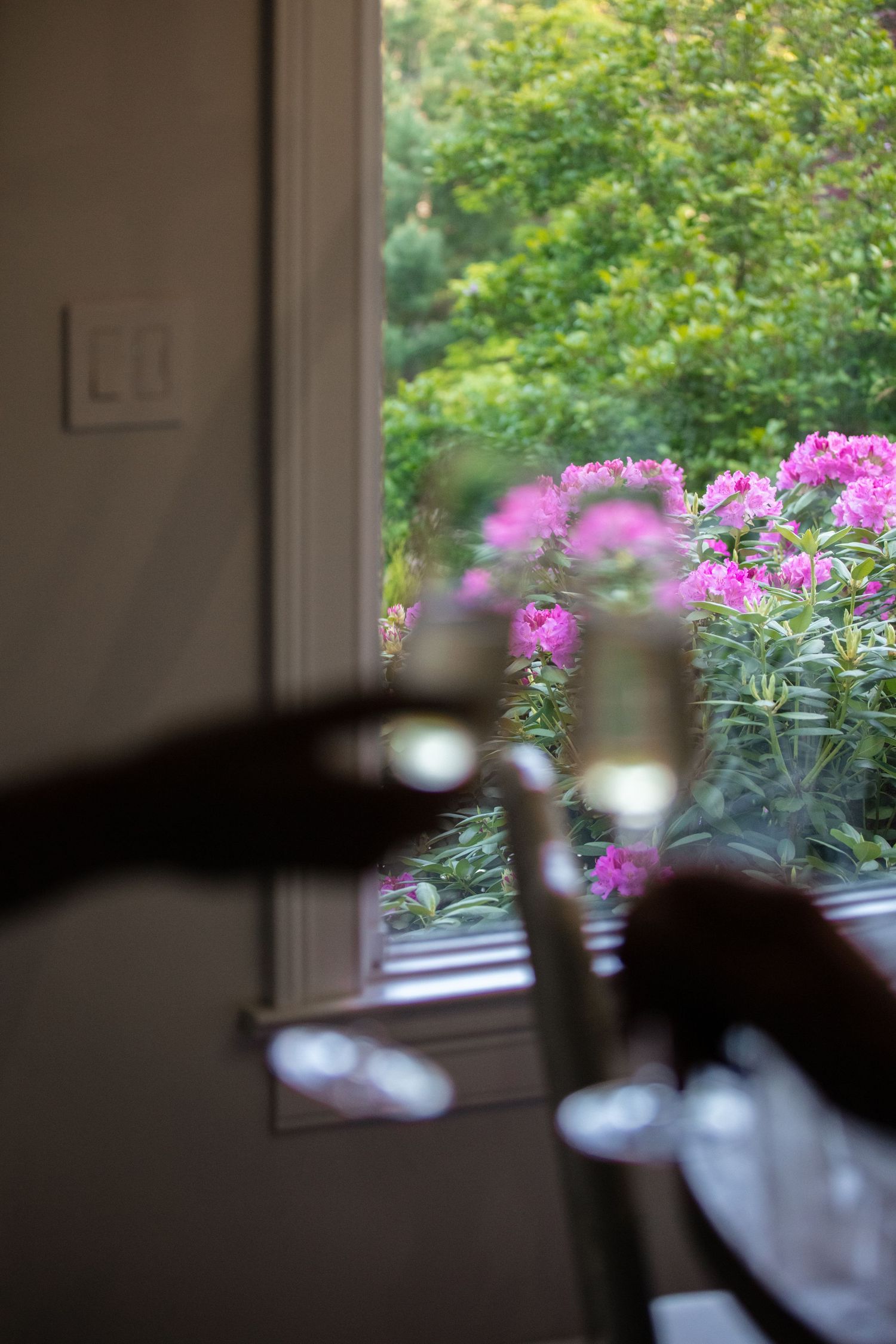 Pink flowers bloom outside a window while dark interior silhouettes frame the foreground.