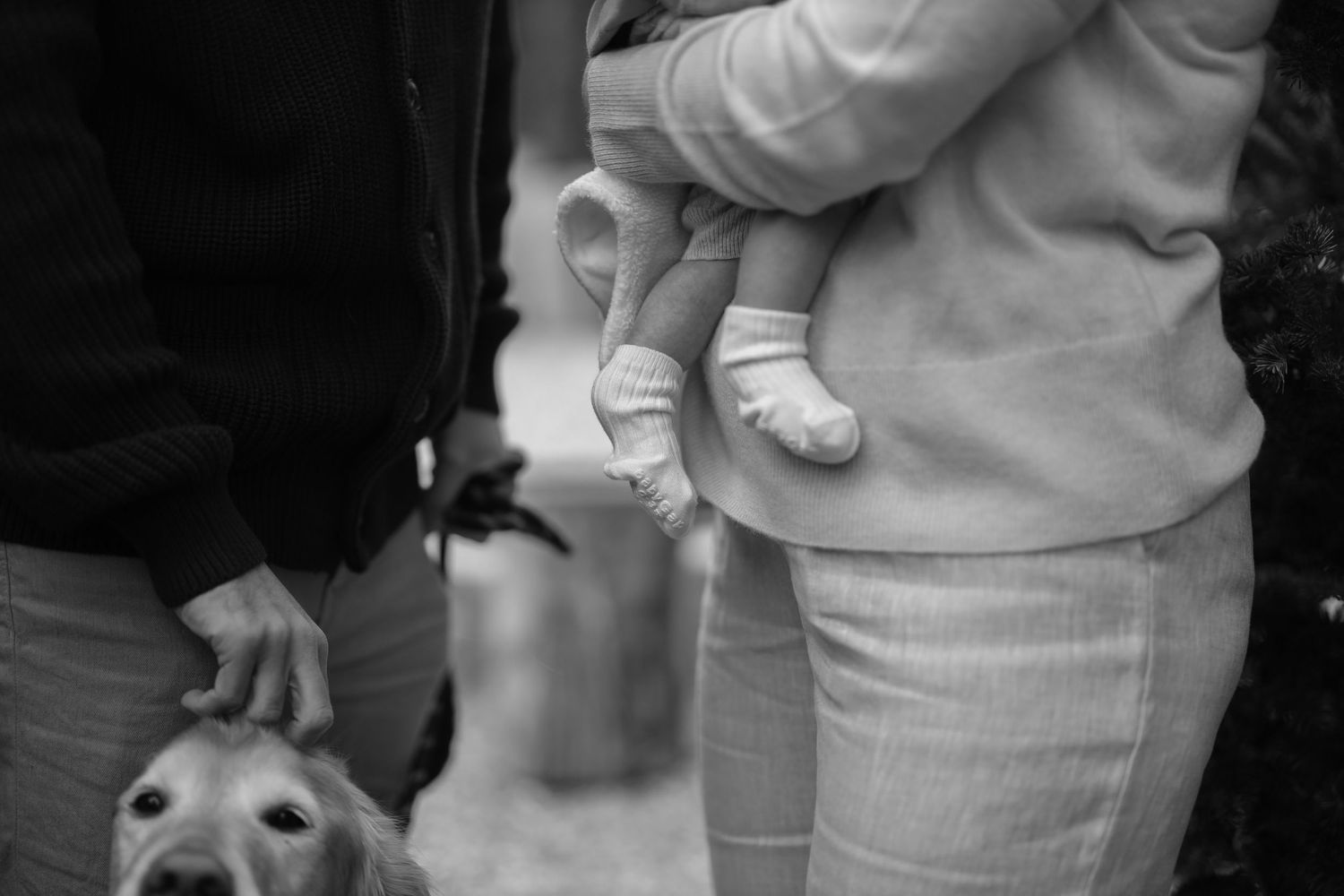 Mother holds baby tightly while camera focuses on dogs eye. Black and white.