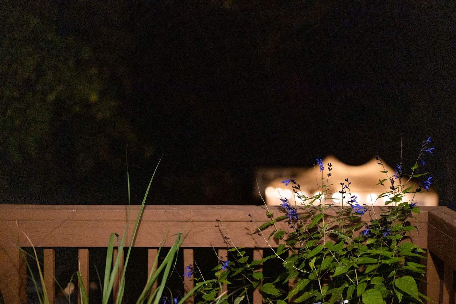 A series of glowing lights and decorations illuminate a garden path at night, creating a magical outdoor atmosphere.