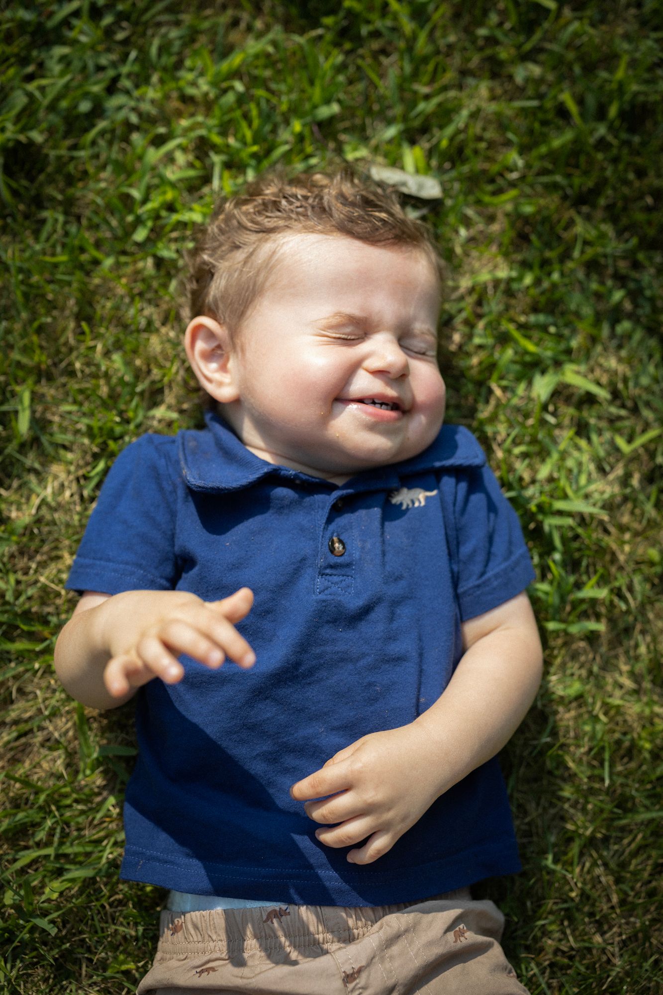 Child Laughing while he lays in grass. Direct sunlight. Greenwhich Connecticut