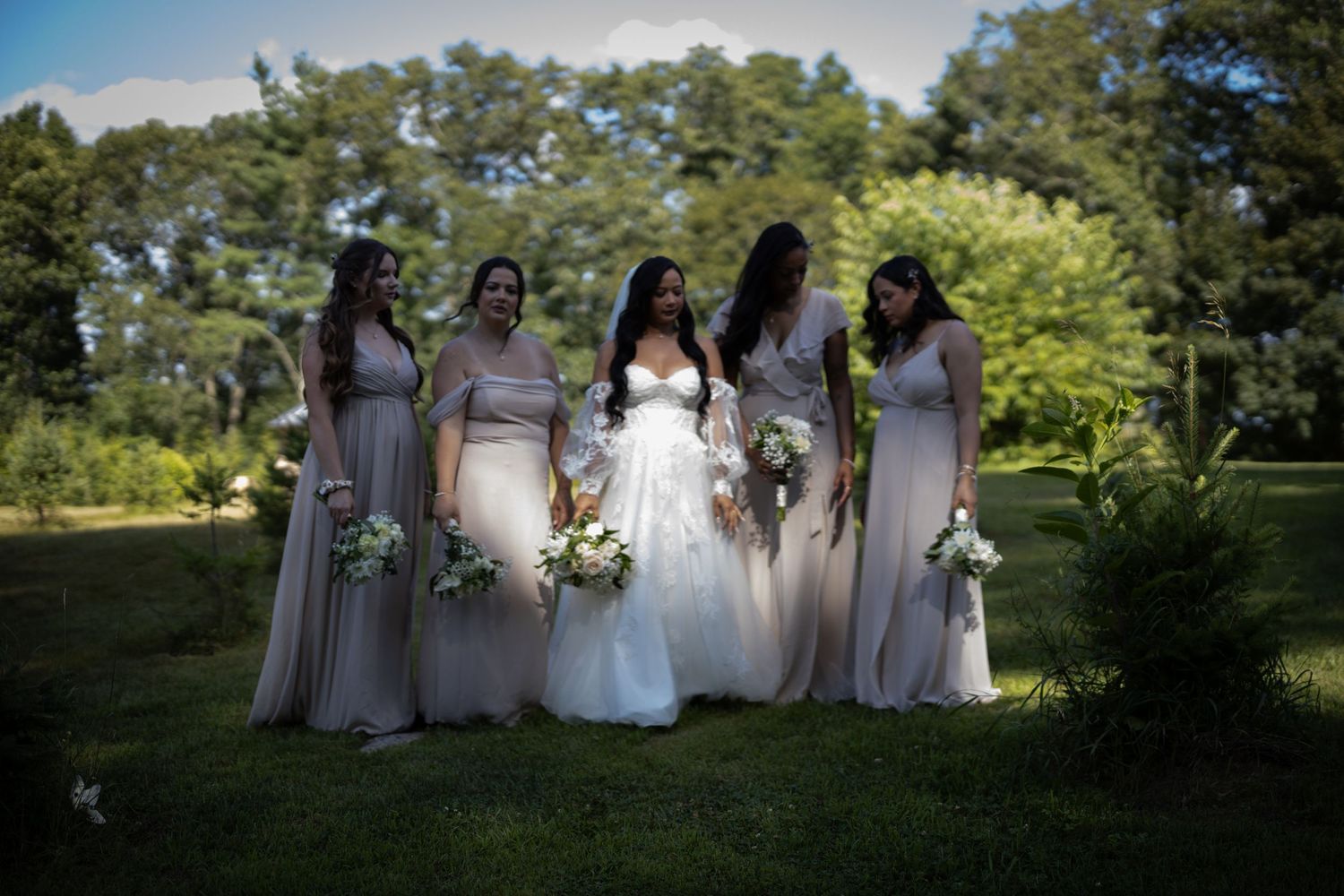 Wedding party poses outdoors in a line wearing light colored dresses against a backdrop of green trees and sunlight.