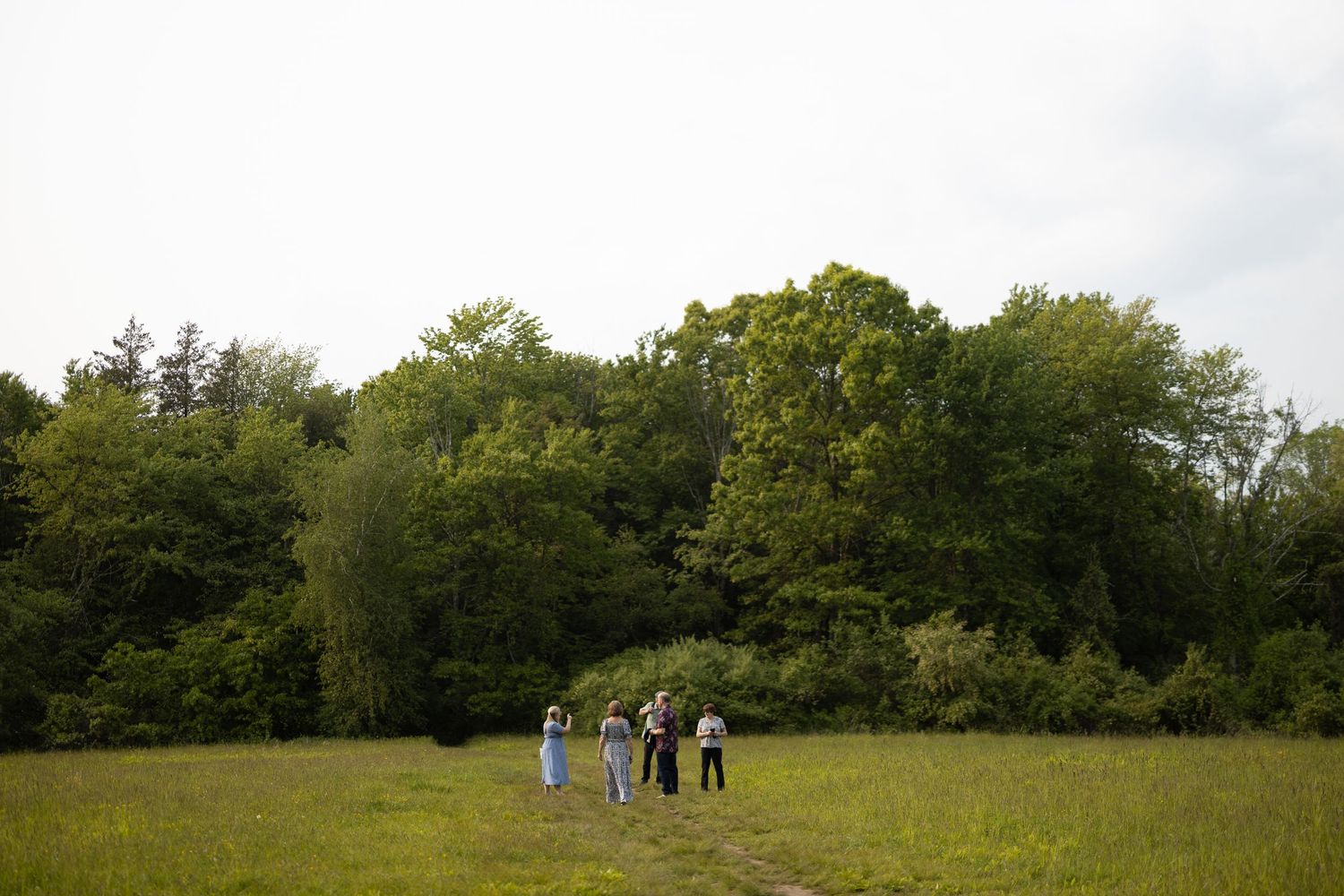 A group of people walk along a grassy hilltop trail surrounded by green trees on a sunny day.