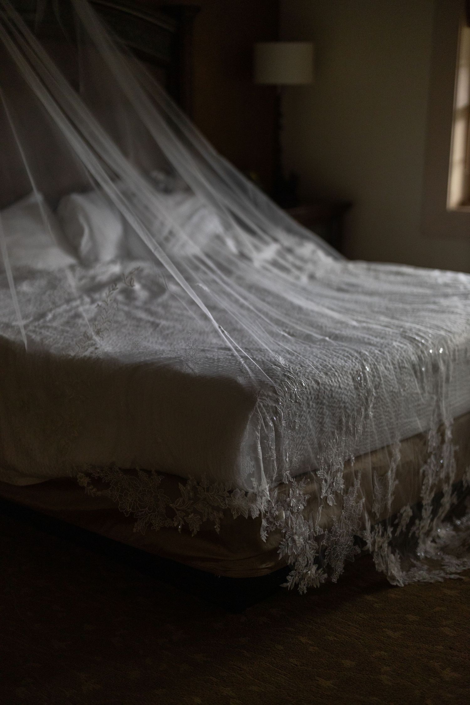 A close-up sequence of a Brides Veil in moody light.