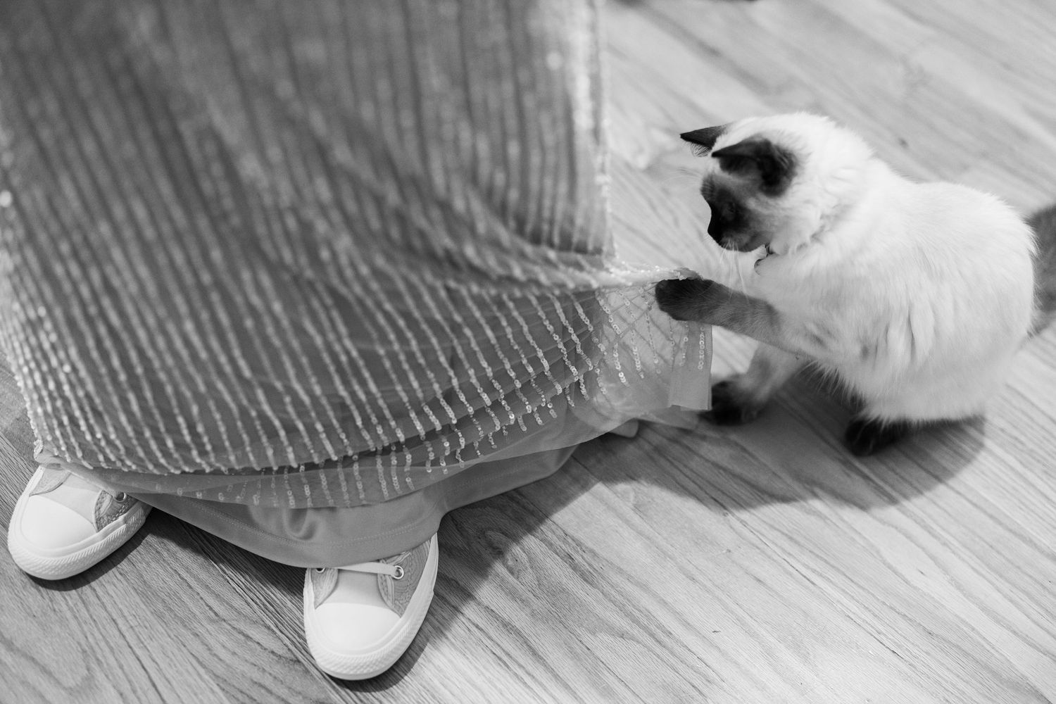 A white cat playfully paws at a wedding dress.