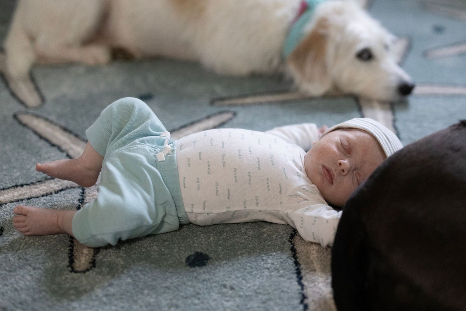 Candid Family Portrait of newborn laying next to Dogs. In home newborn Session.