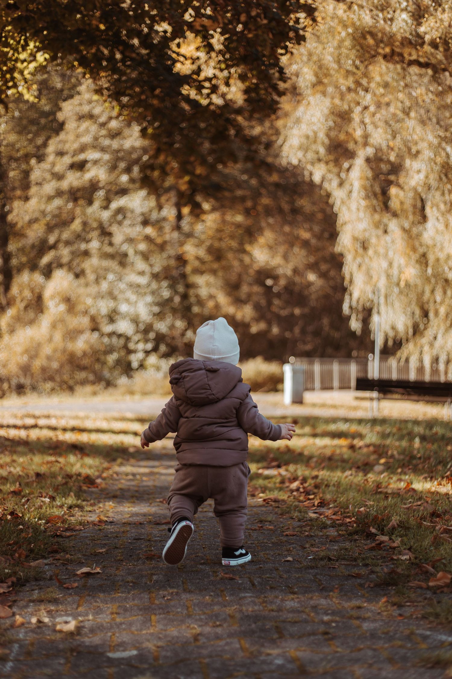 Toddler in brown winter jacket walking alone on an autumn park path.