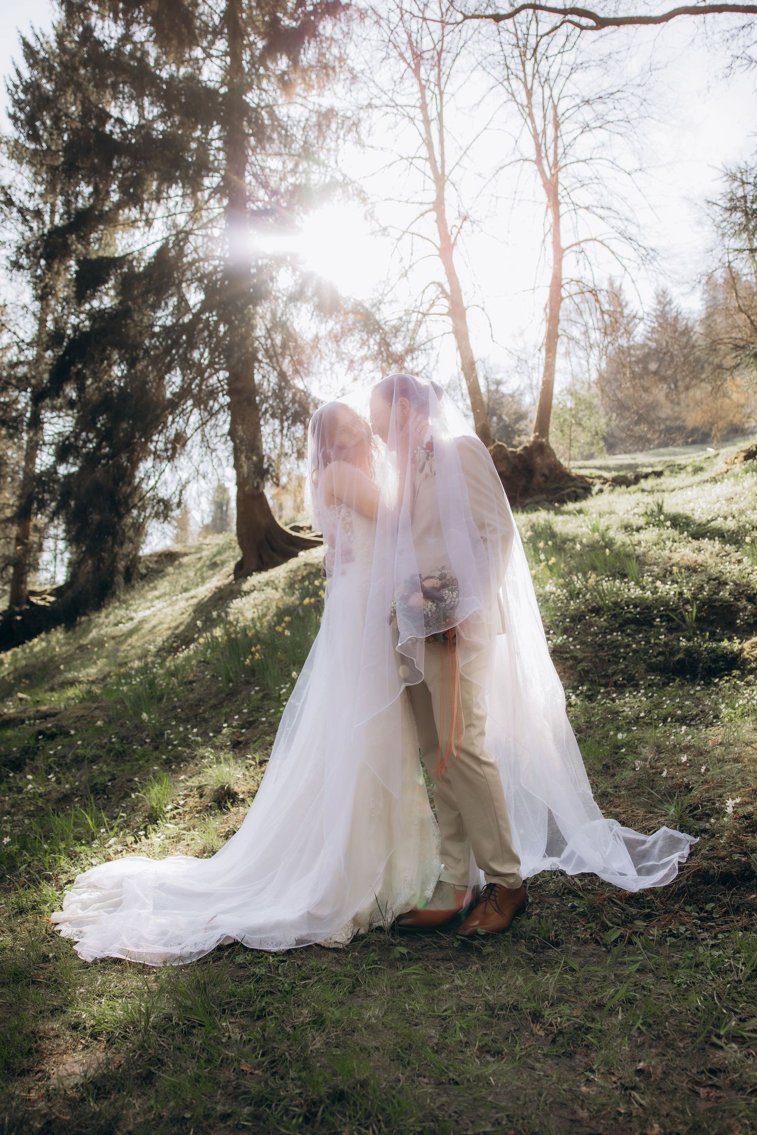 Newlyweds sharing a romantic kiss beneath a long white bridal veil in a sunny woodland setting.