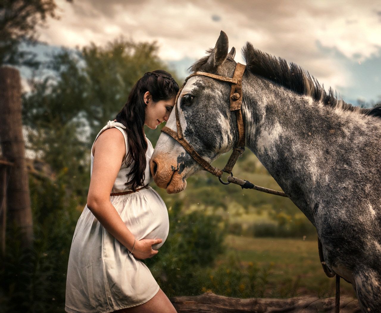 Pregnant woman in white dress tenderly touching foreheads with a gray horse outdoors in a lush green setting.