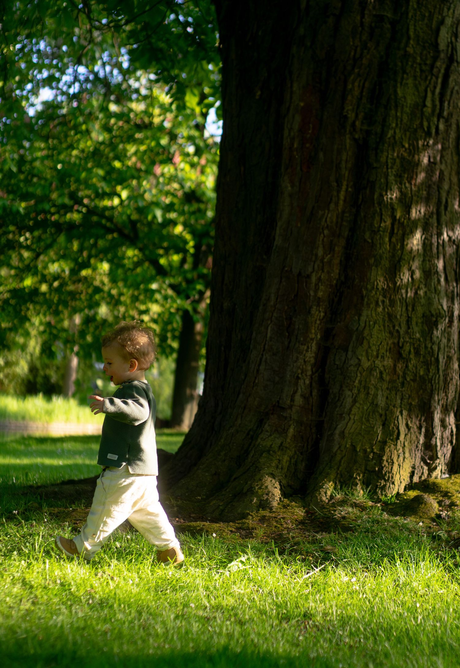 A toddler walks across lush green grass beside a massive tree trunk in a sunlit park.