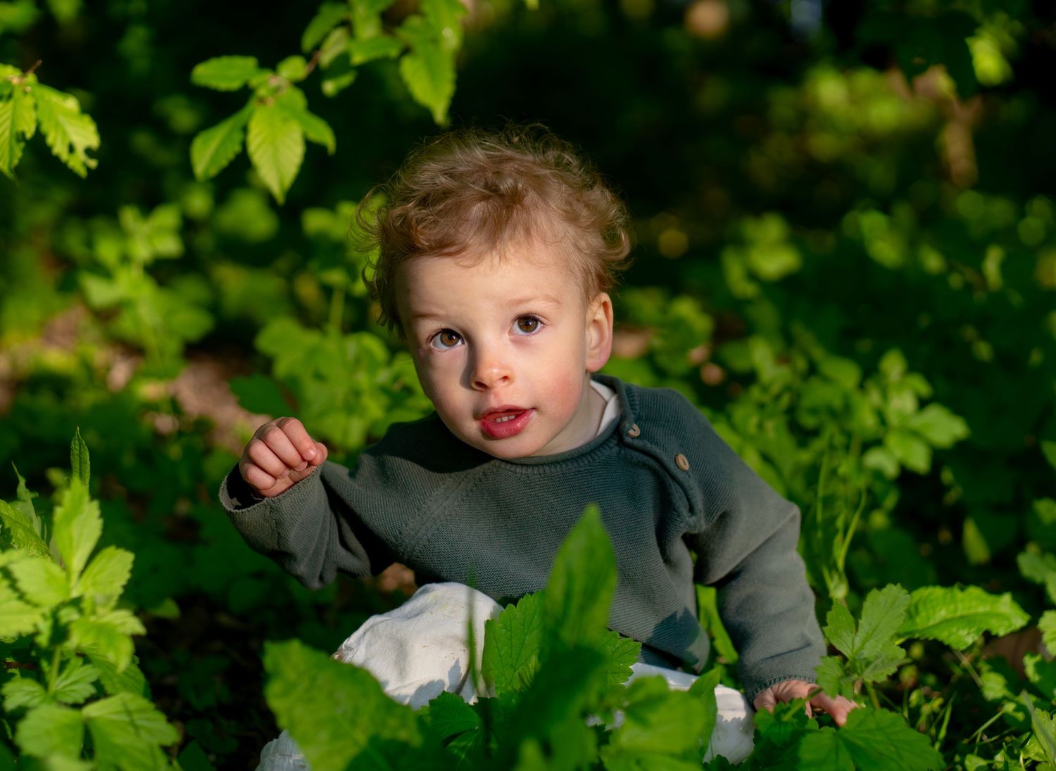 Curly-haired toddler in a gray sweater sitting among lush green plants and leaves outdoors.