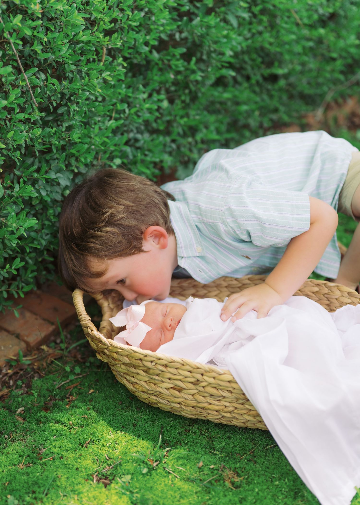 Toddler boy gently kissing newborn baby sibling laying in wicker basket on green grass outdoors.